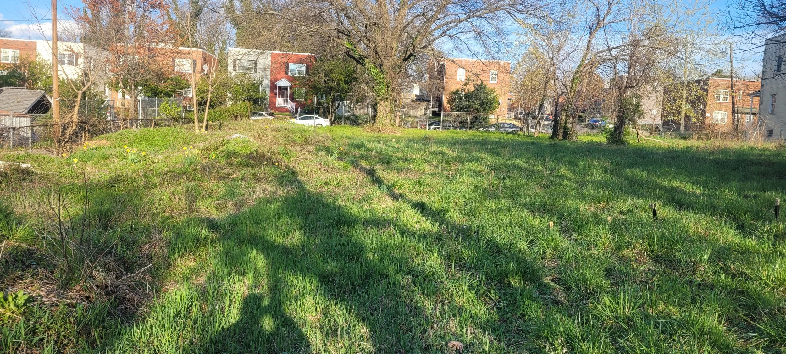 20230329_175858.jpg