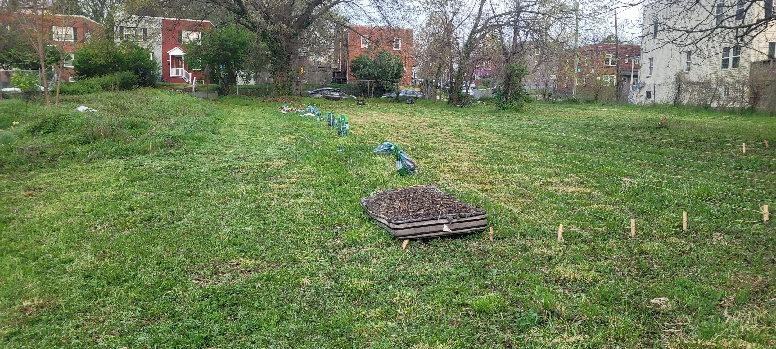 20230405_190543.jpg