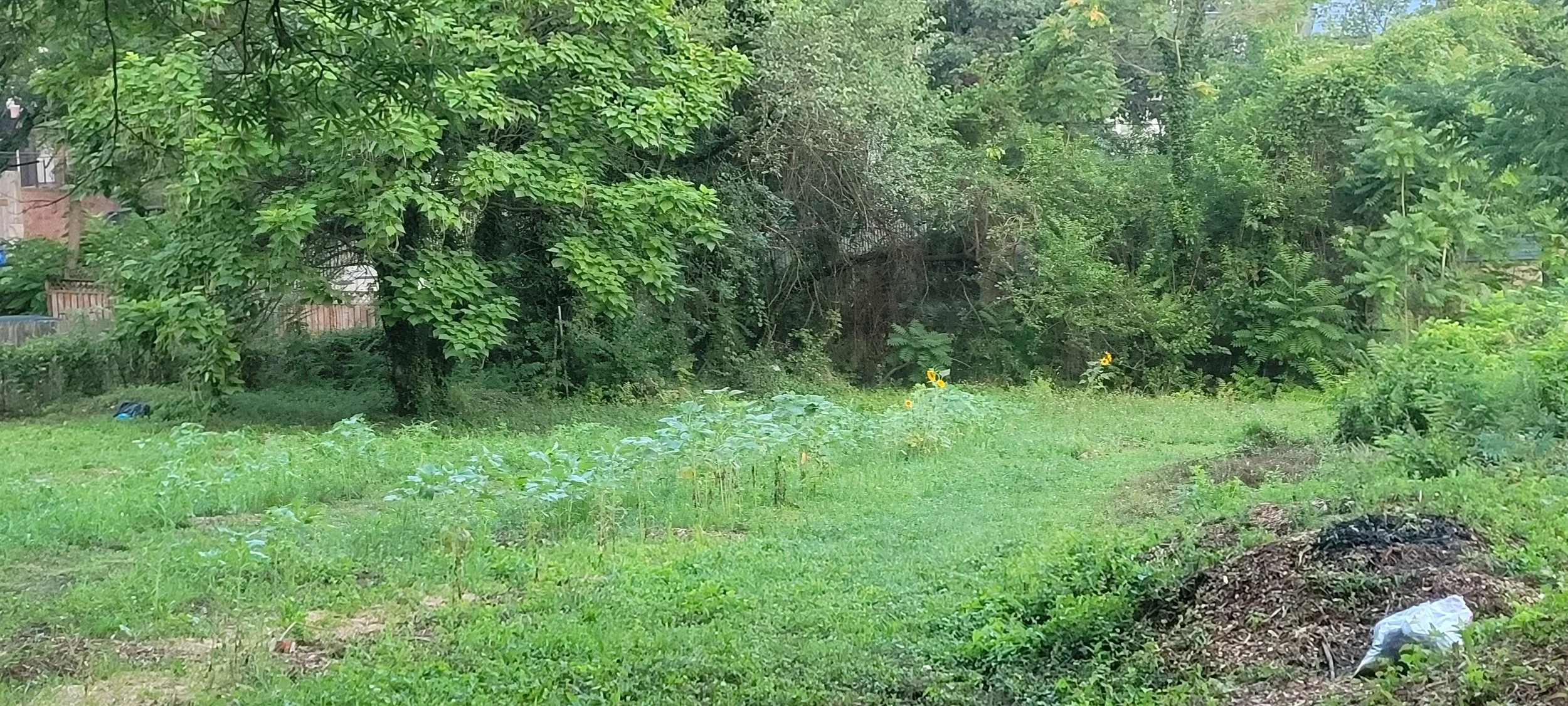 20230707_060244.jpg