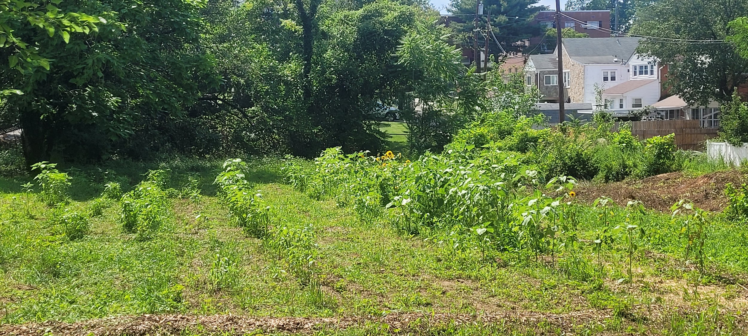 20230713_153013.jpg