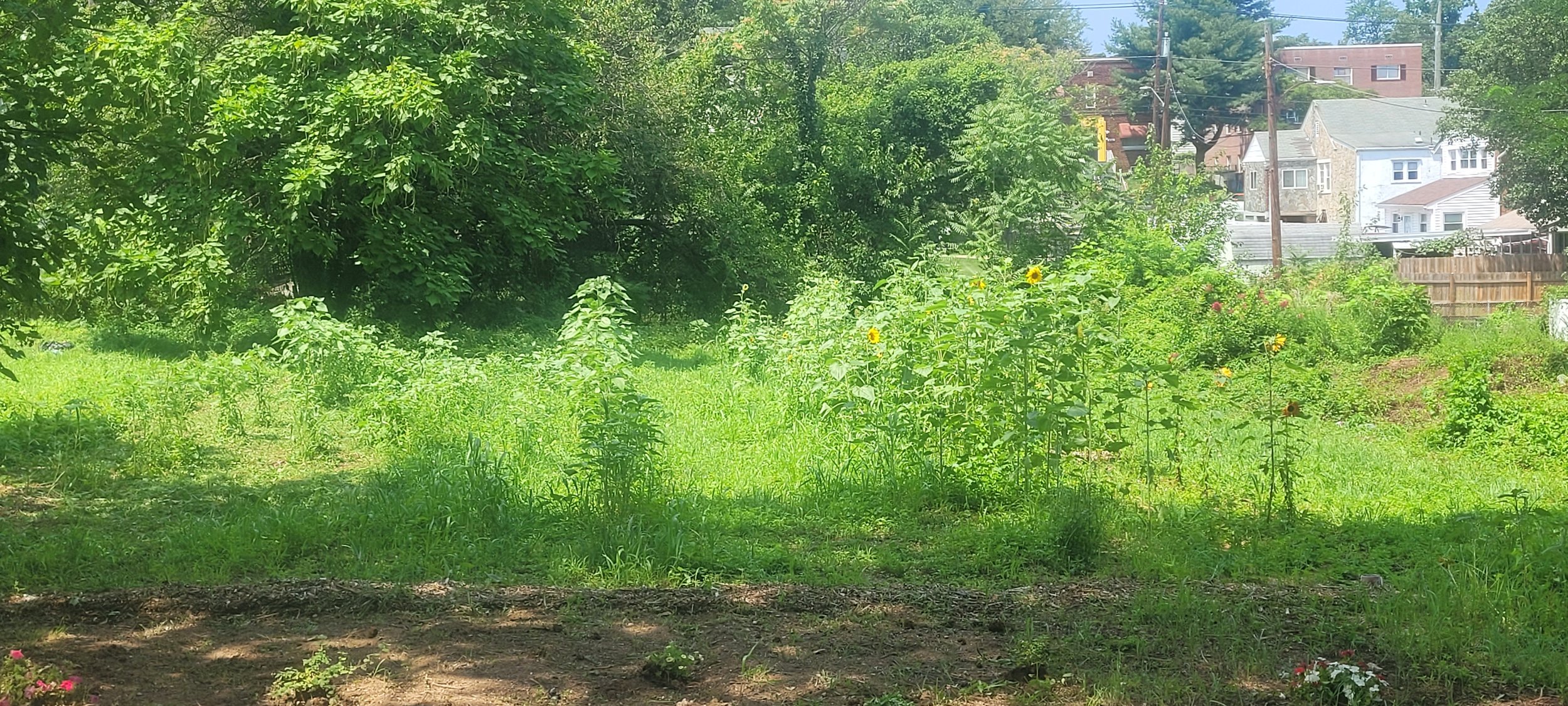 20230726_120840.jpg