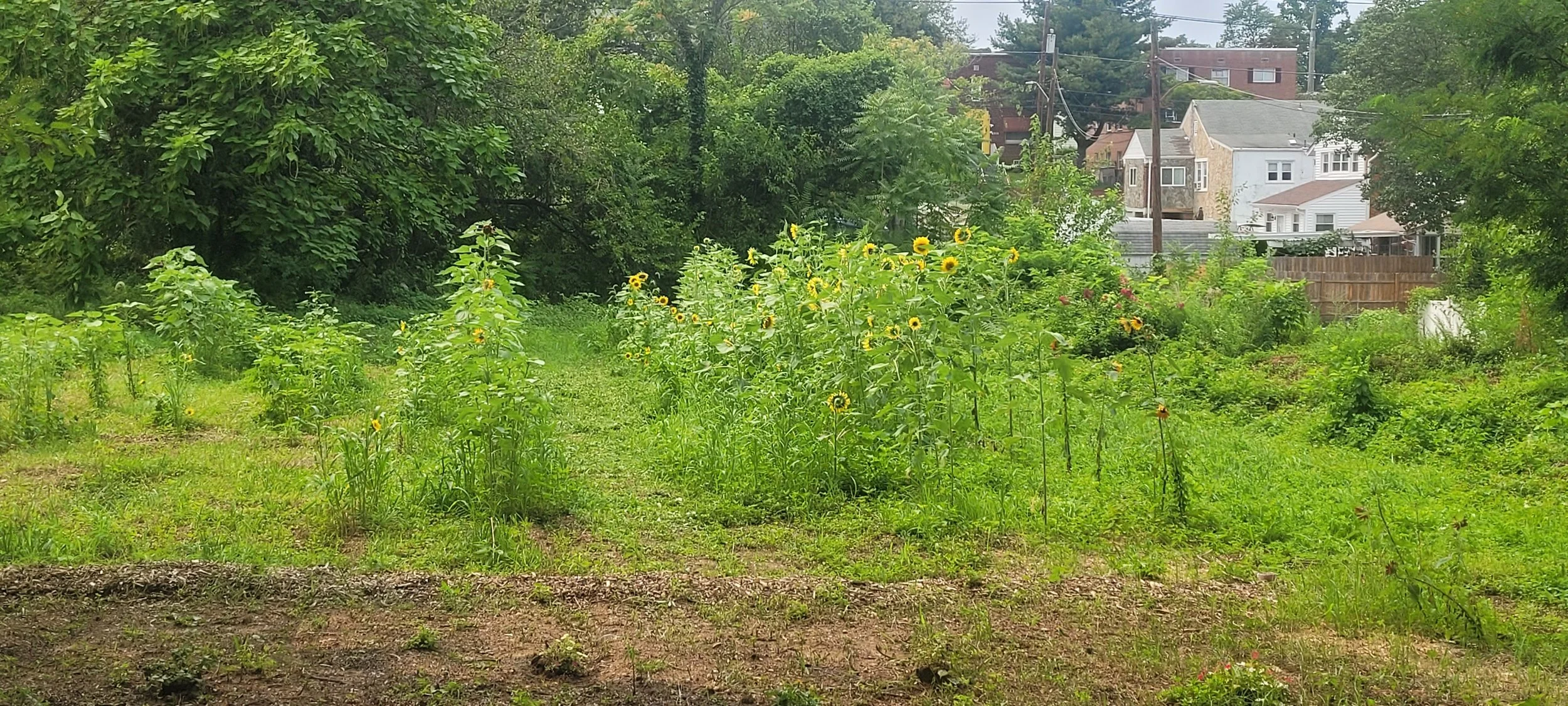 20230801_140819.jpg