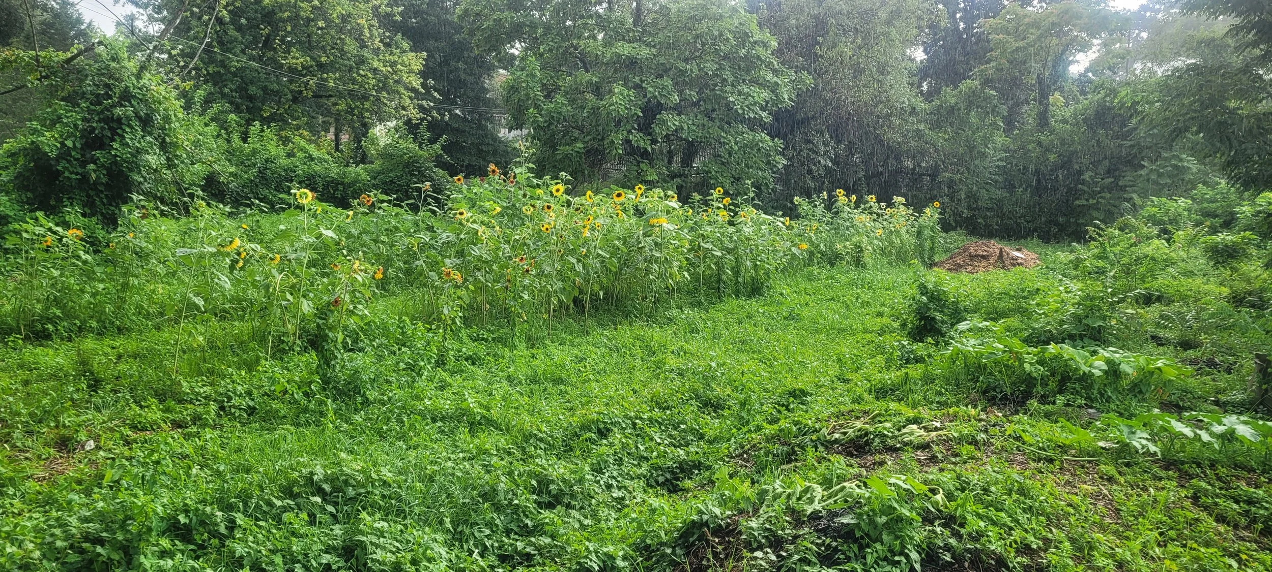 20230815_165931.jpg