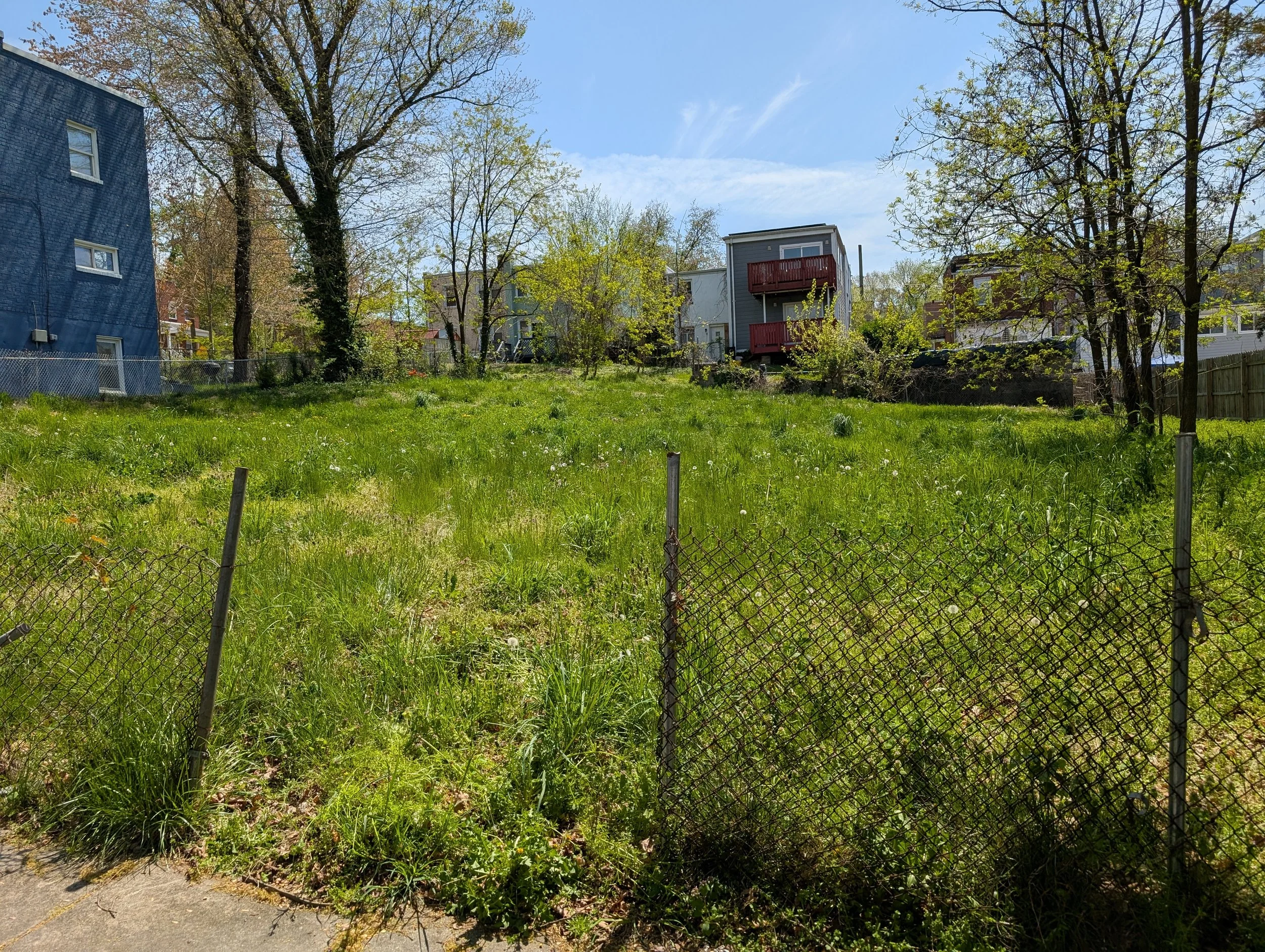 PXL_20250418_173534732.jpg