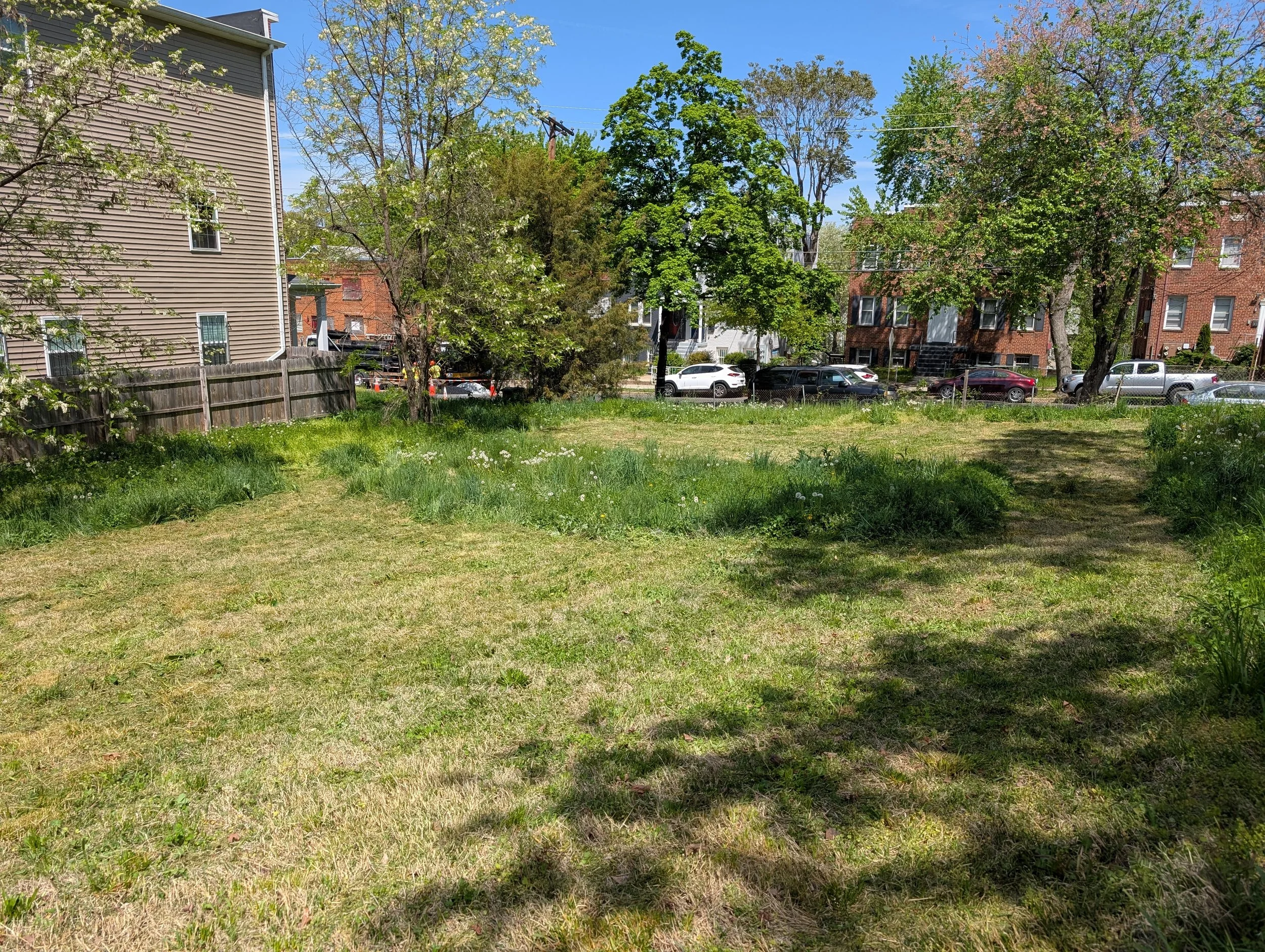 PXL_20250423_155620605.jpg