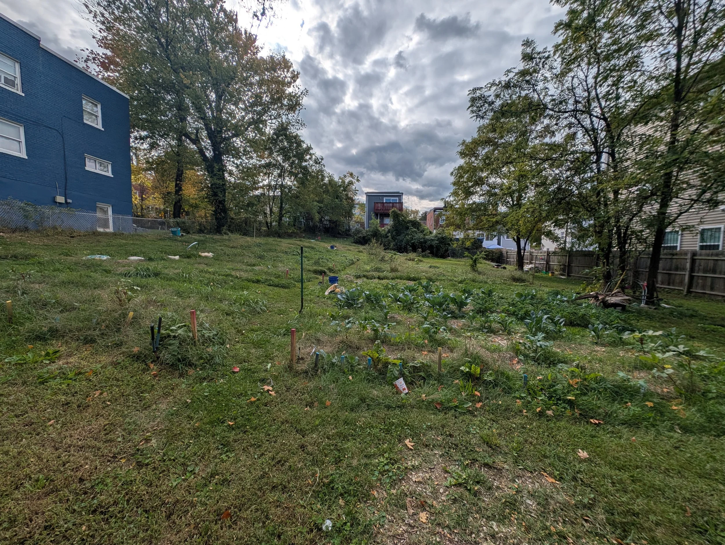 PXL_20251024_153424488.jpg