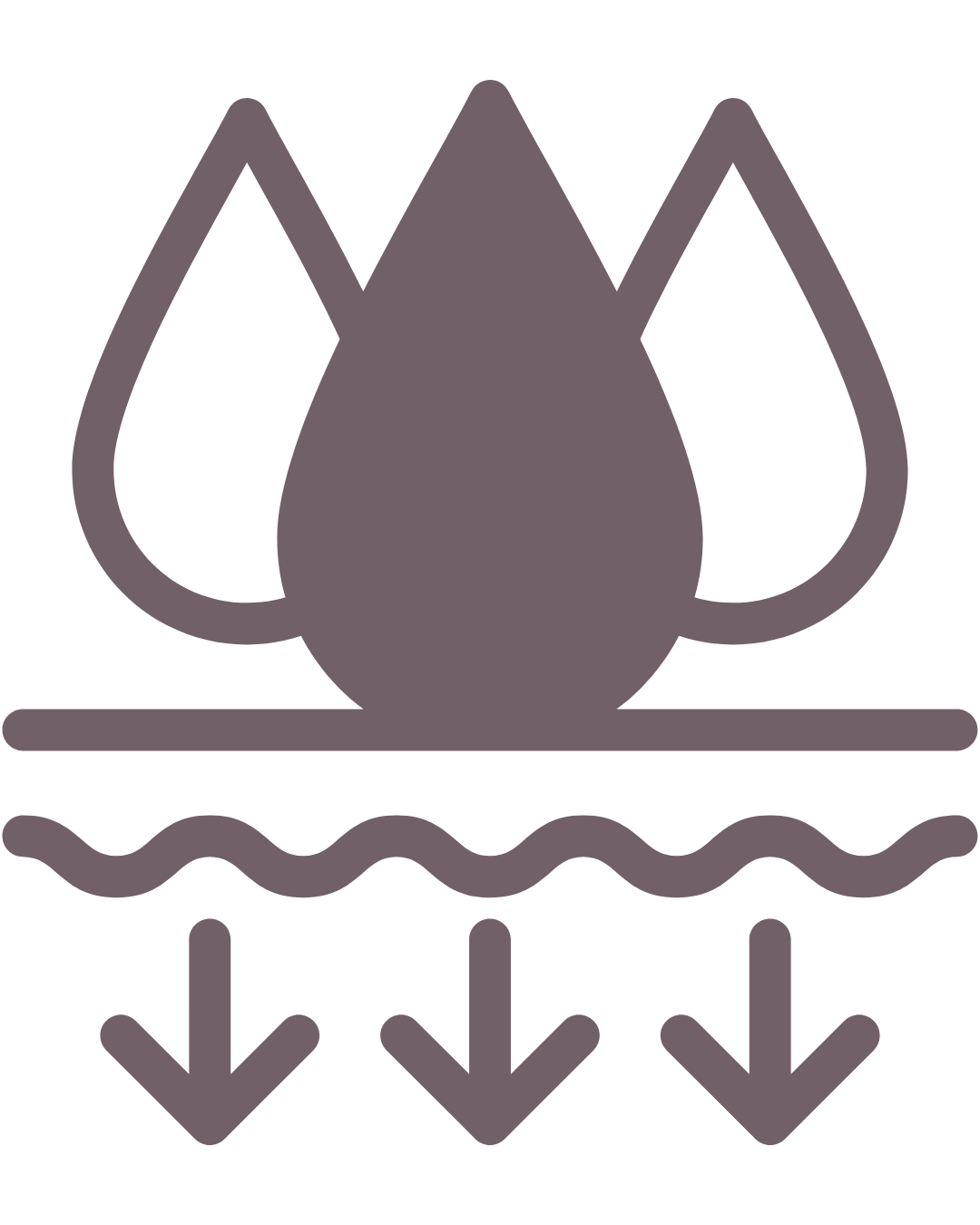Moisture Icon