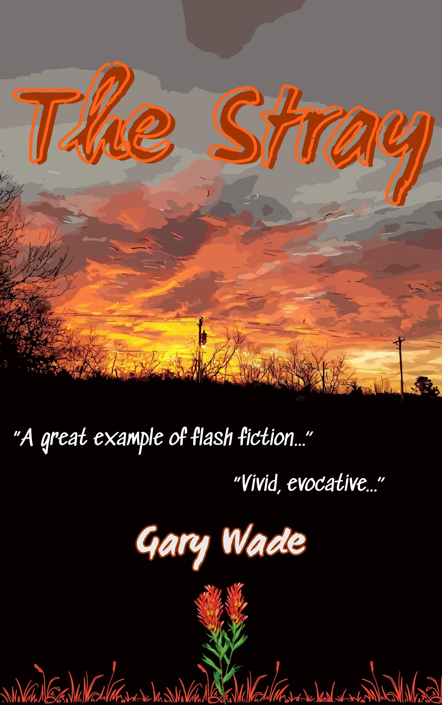 The Stray