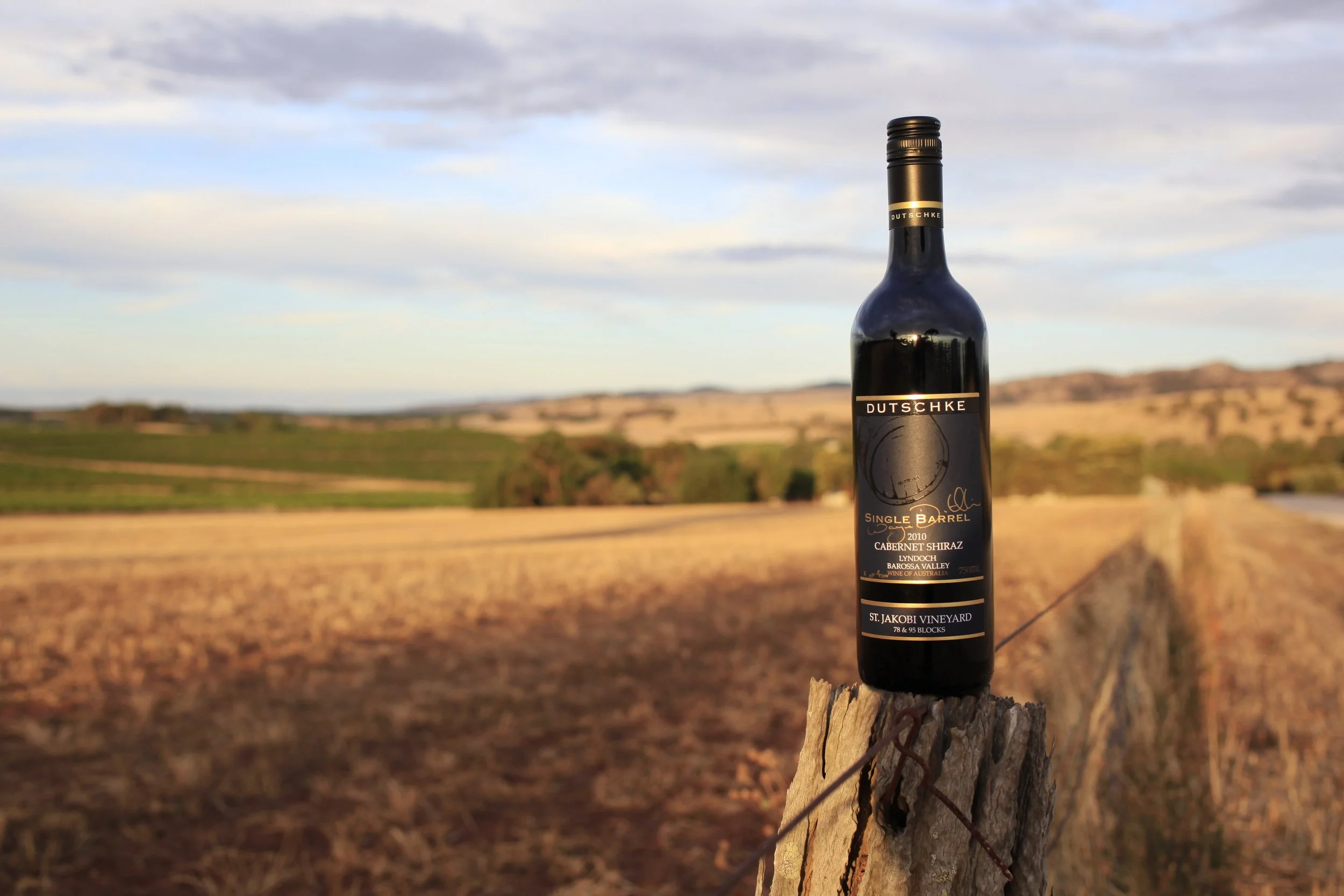 PRODUCT_© She Creative_5.JPG