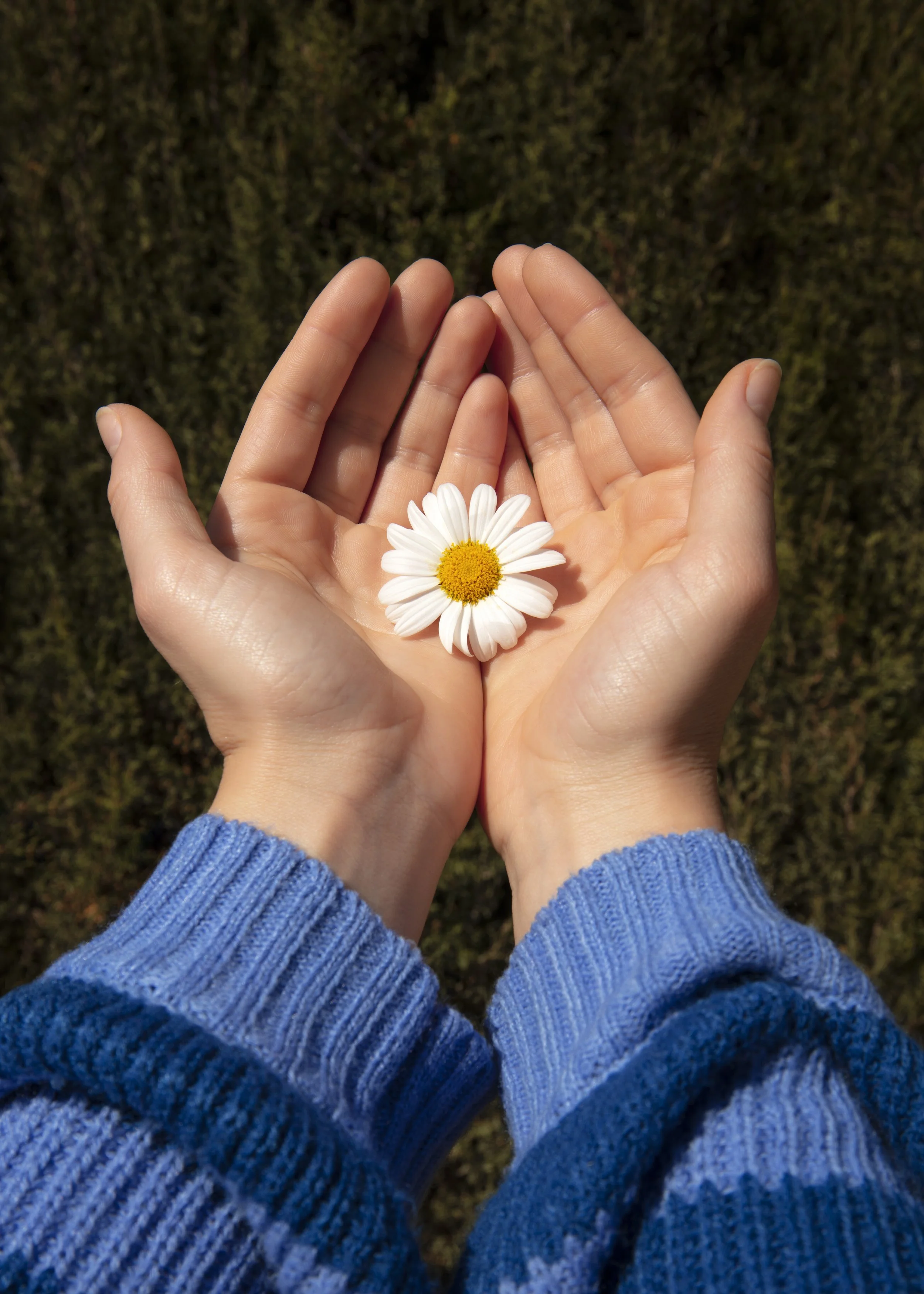 Healing Is Not Linear (And That’s Okay)