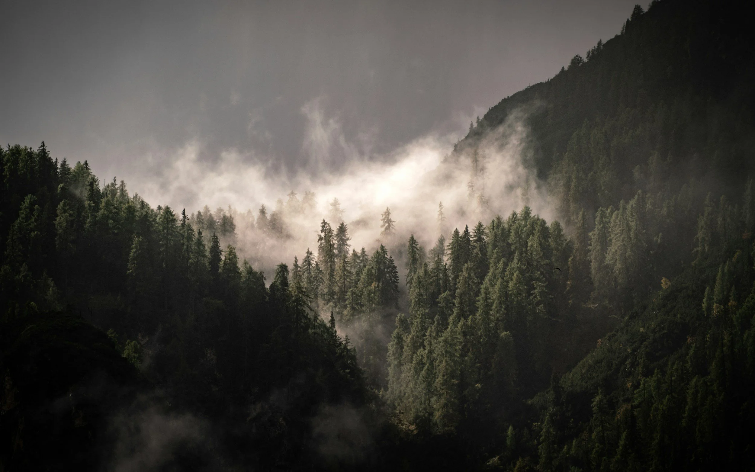 unsplash-image-guYxs04Yti8.jpg