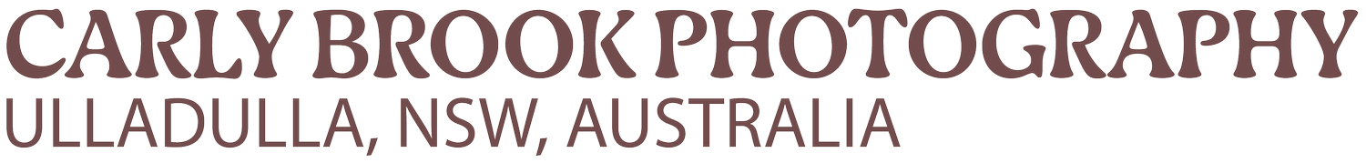 Carly Brook Photography