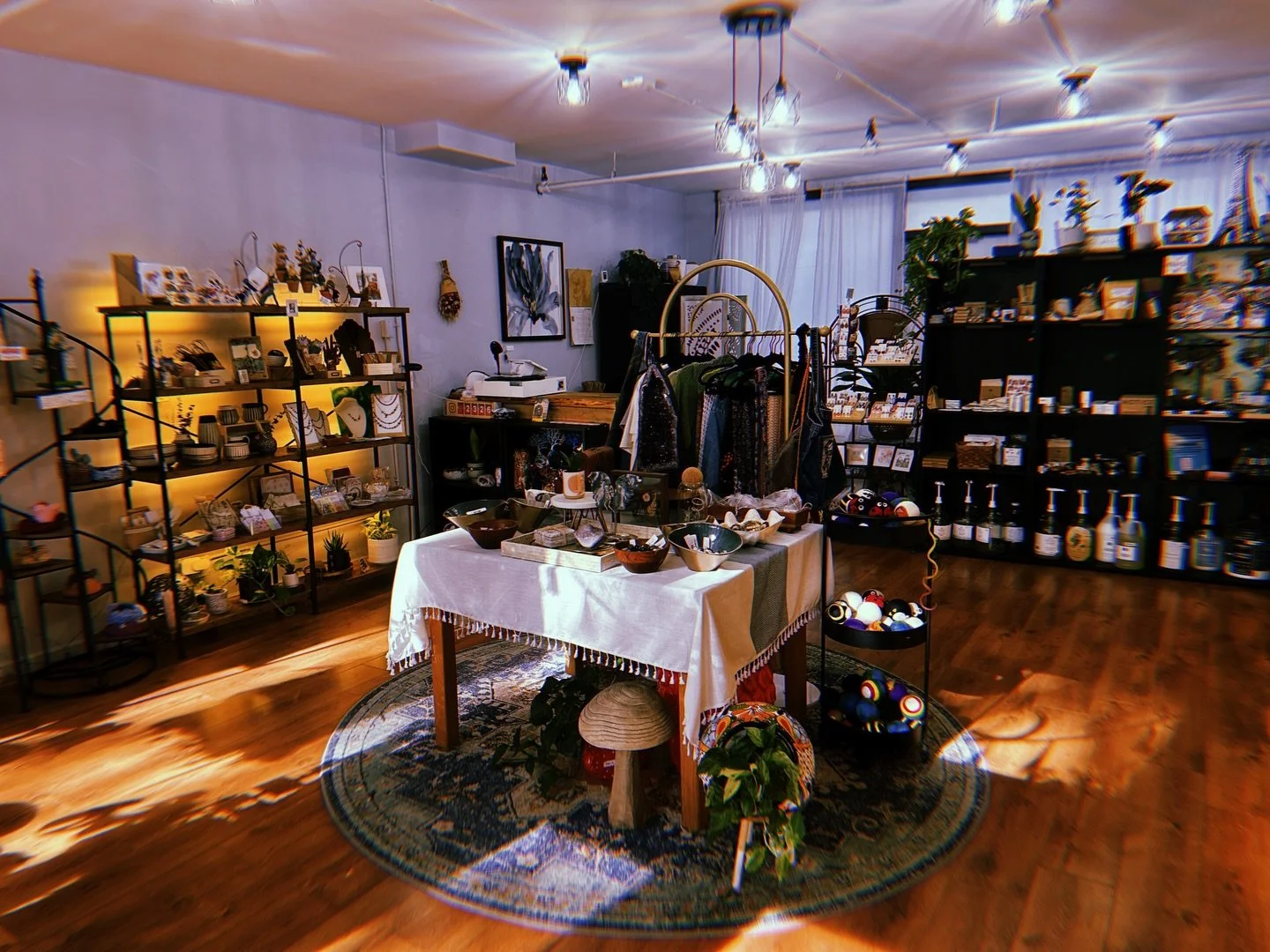 In light of the call for a nationwide shutdown, we want to share that tomorrow we&rsquo;ll be open from 2:00 PM to 5:30 PM, but all profits will be donated to the Capital Region Sanctuary Coalition&rsquo;s Mutual Aid Fund. We stand with the people an