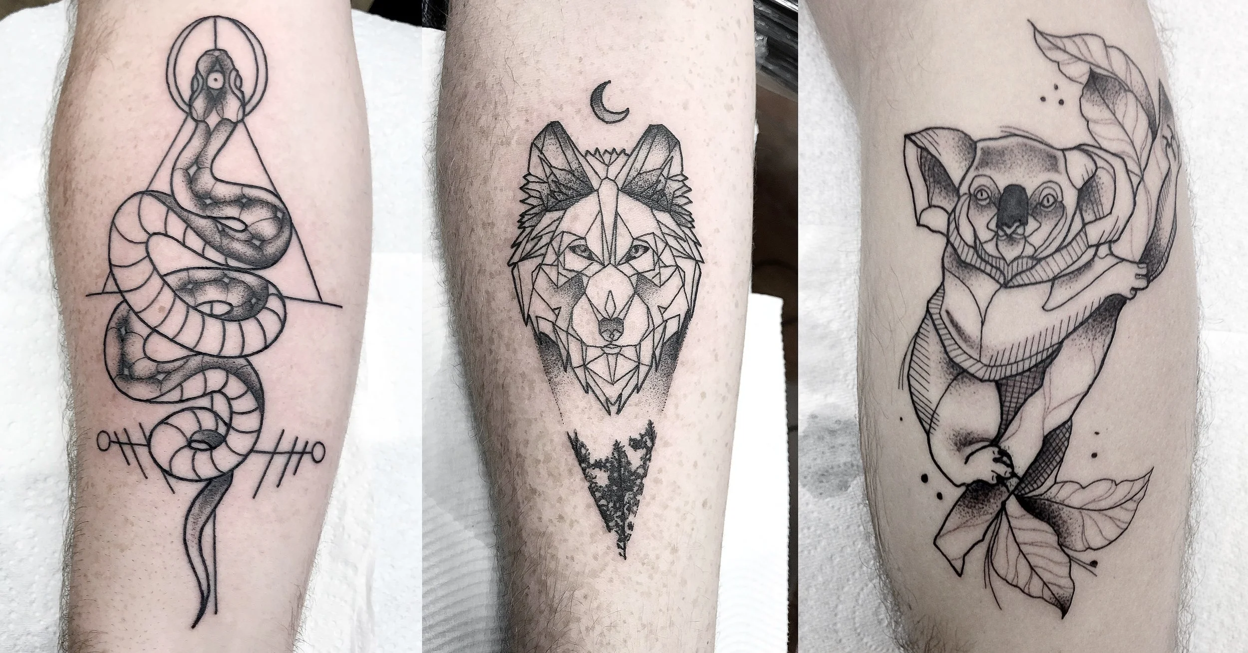 Brisbane best tattoo fineline dotwork illustrative.jpeg
