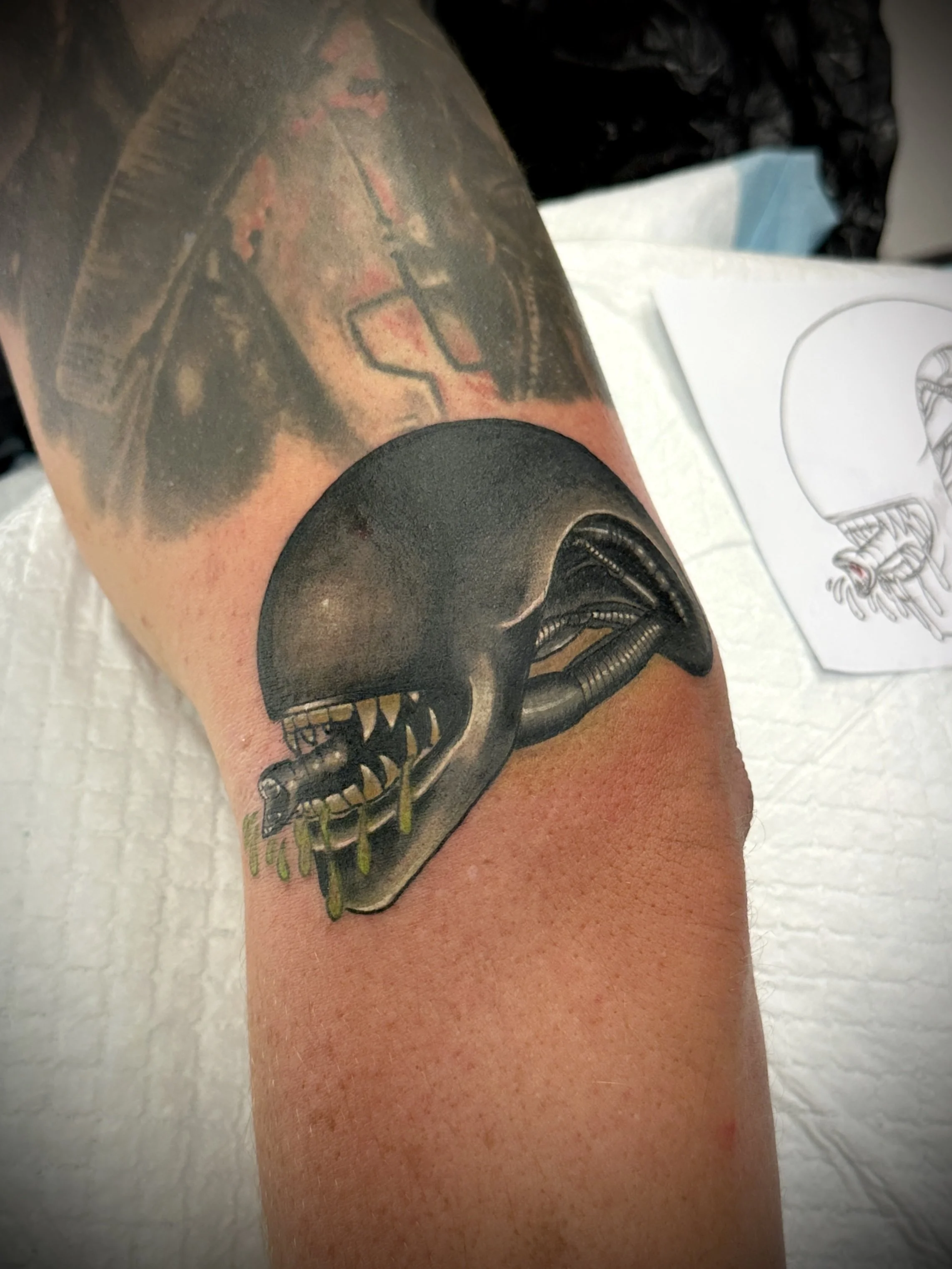 Brisbane vegan tattoo pop culture