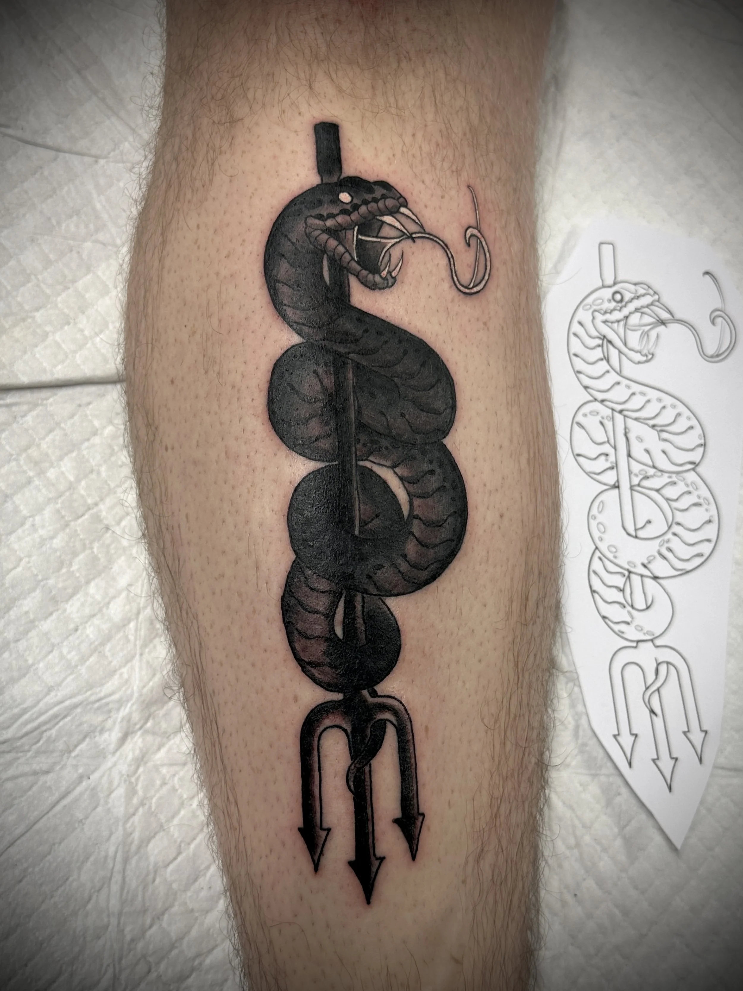 Snake tattoo brisbane vegan artist