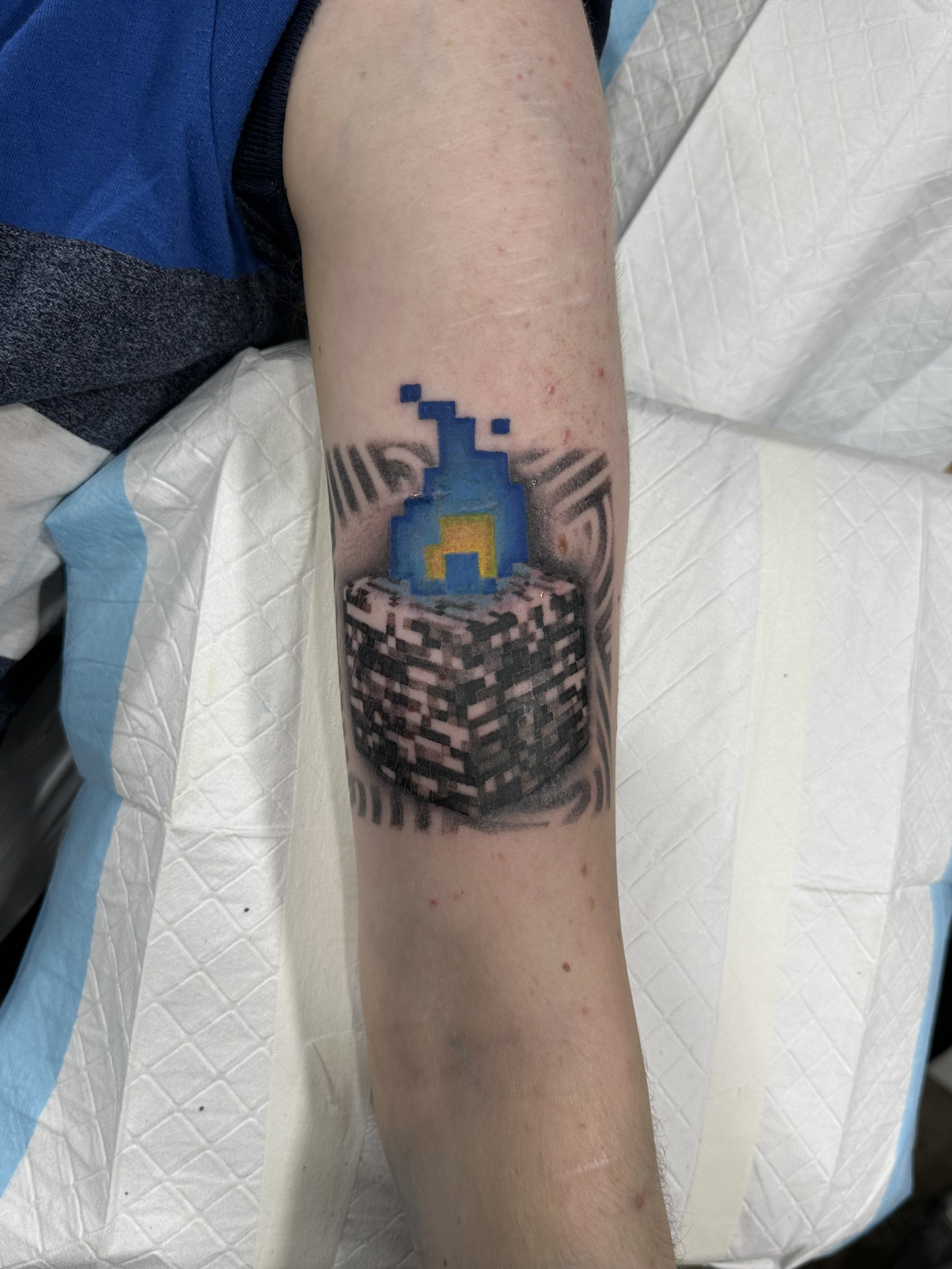 Brisbane tattoo vegan pop culture minecraft.jpeg