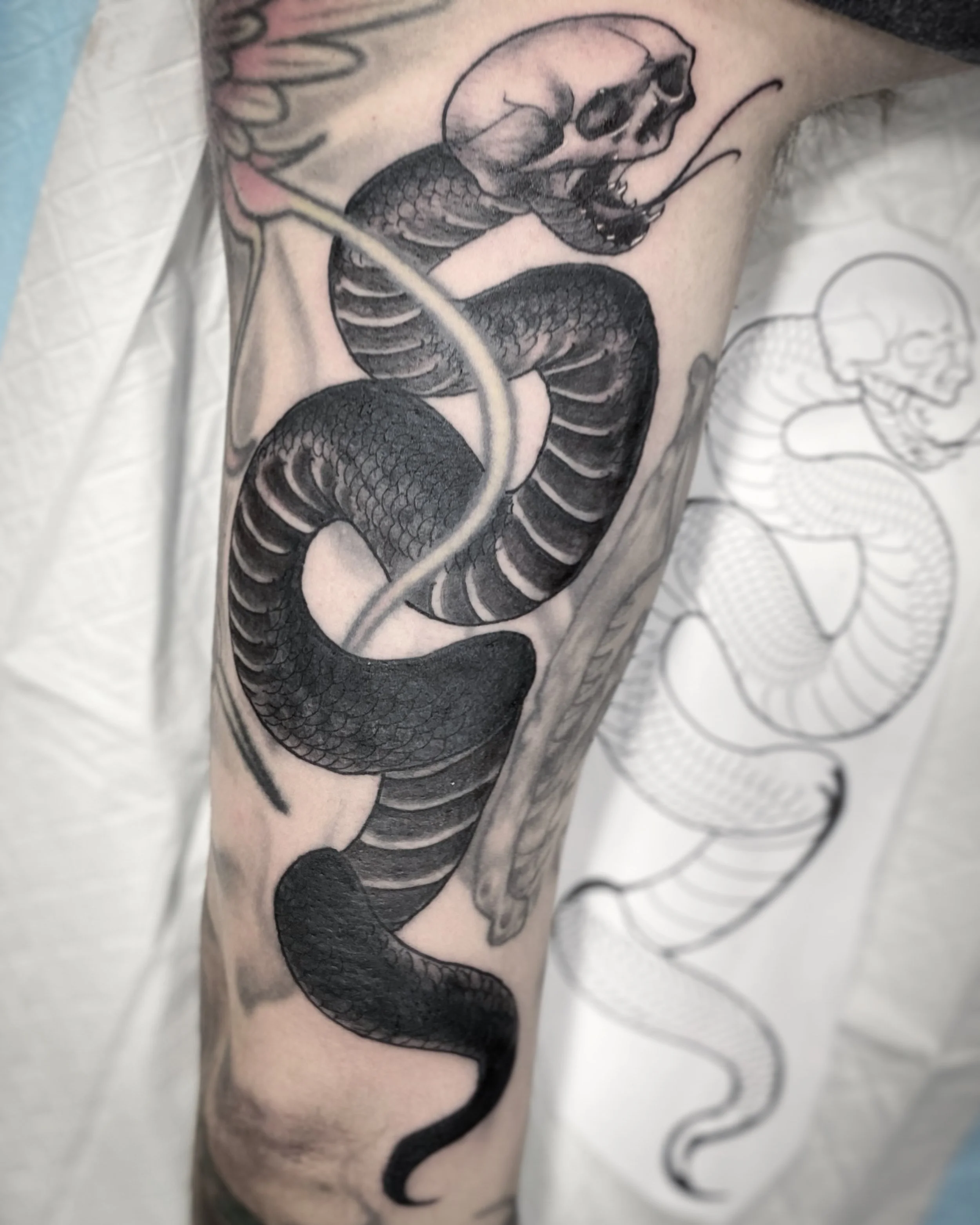 Brisbane tattoo vegan pop culture skull snake.jpeg