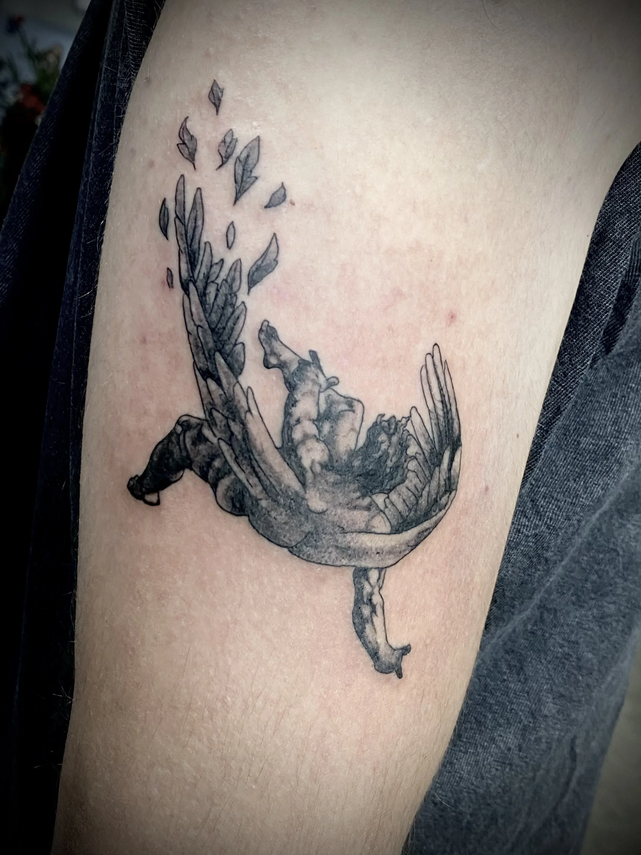  Icarus tattoo black grey brisbane