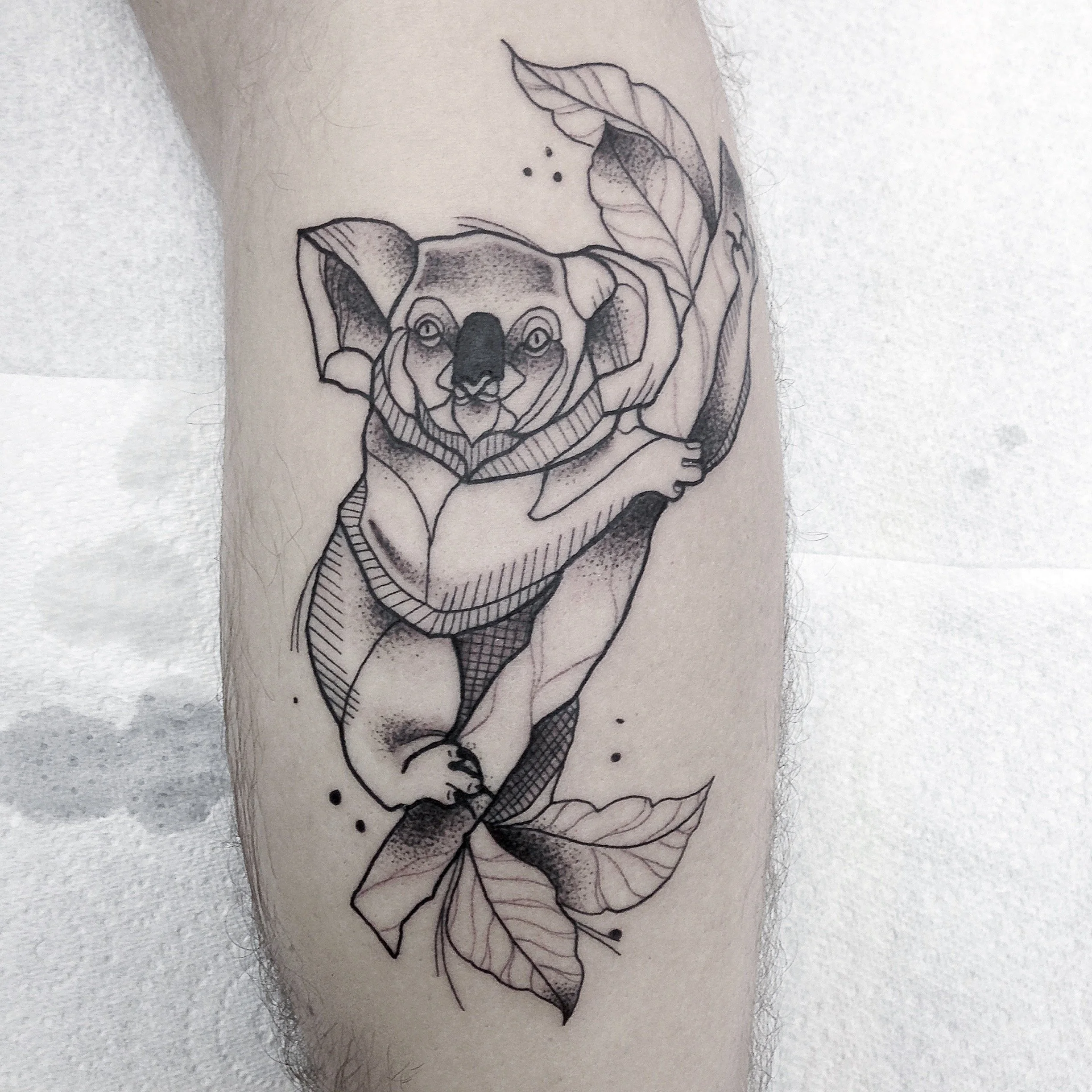 Koala tattoo brisbane best fine line tattoo
