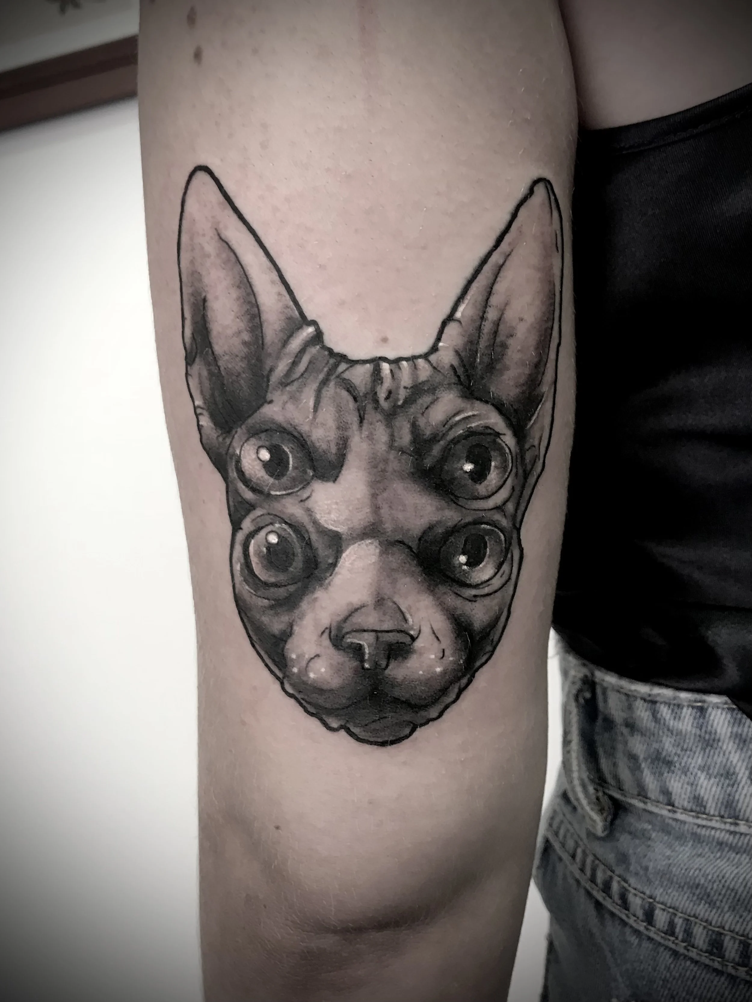 Brisbane vegan tattoo