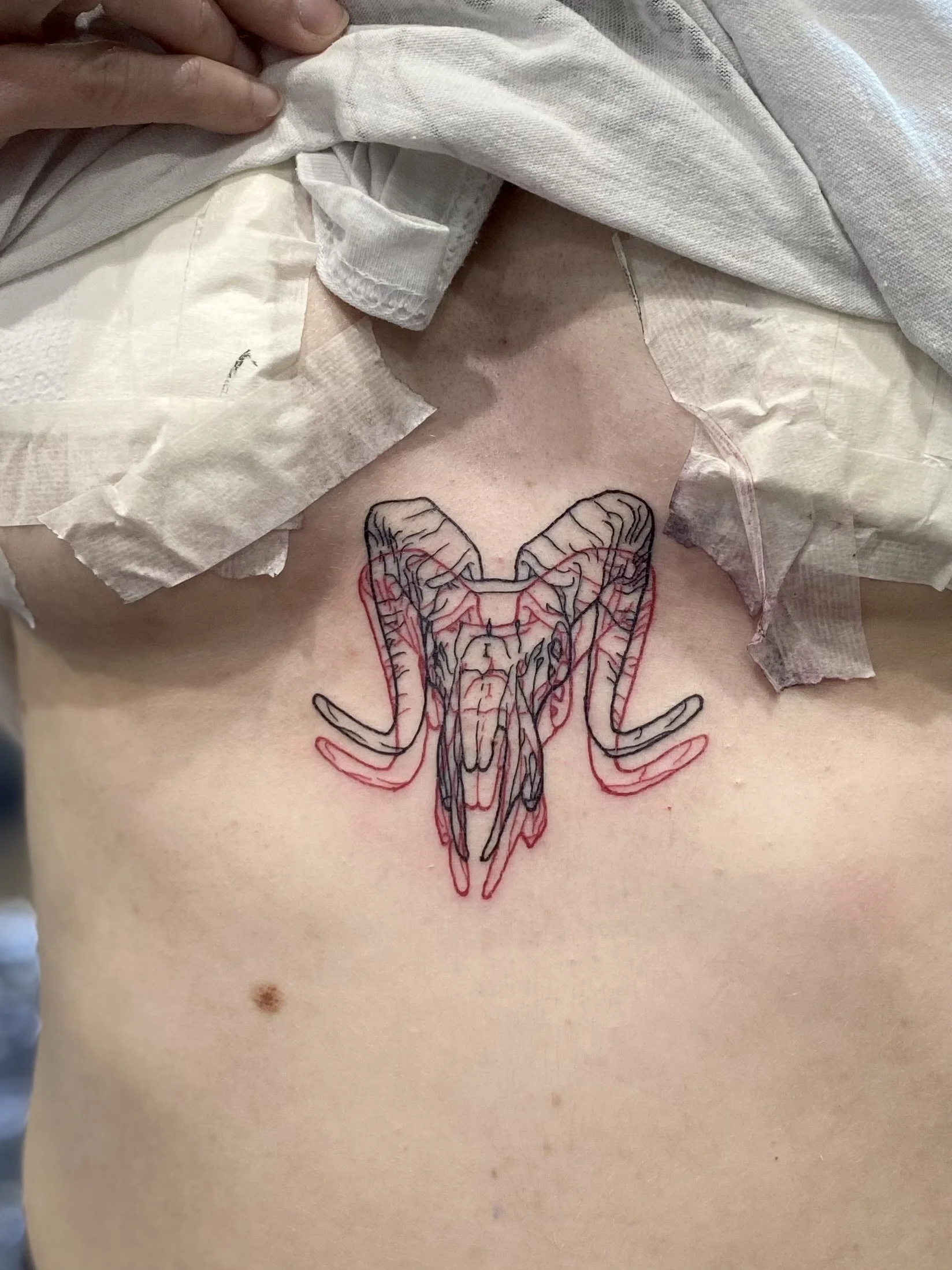 3d tattoo brisbane best fine line tattoo artist