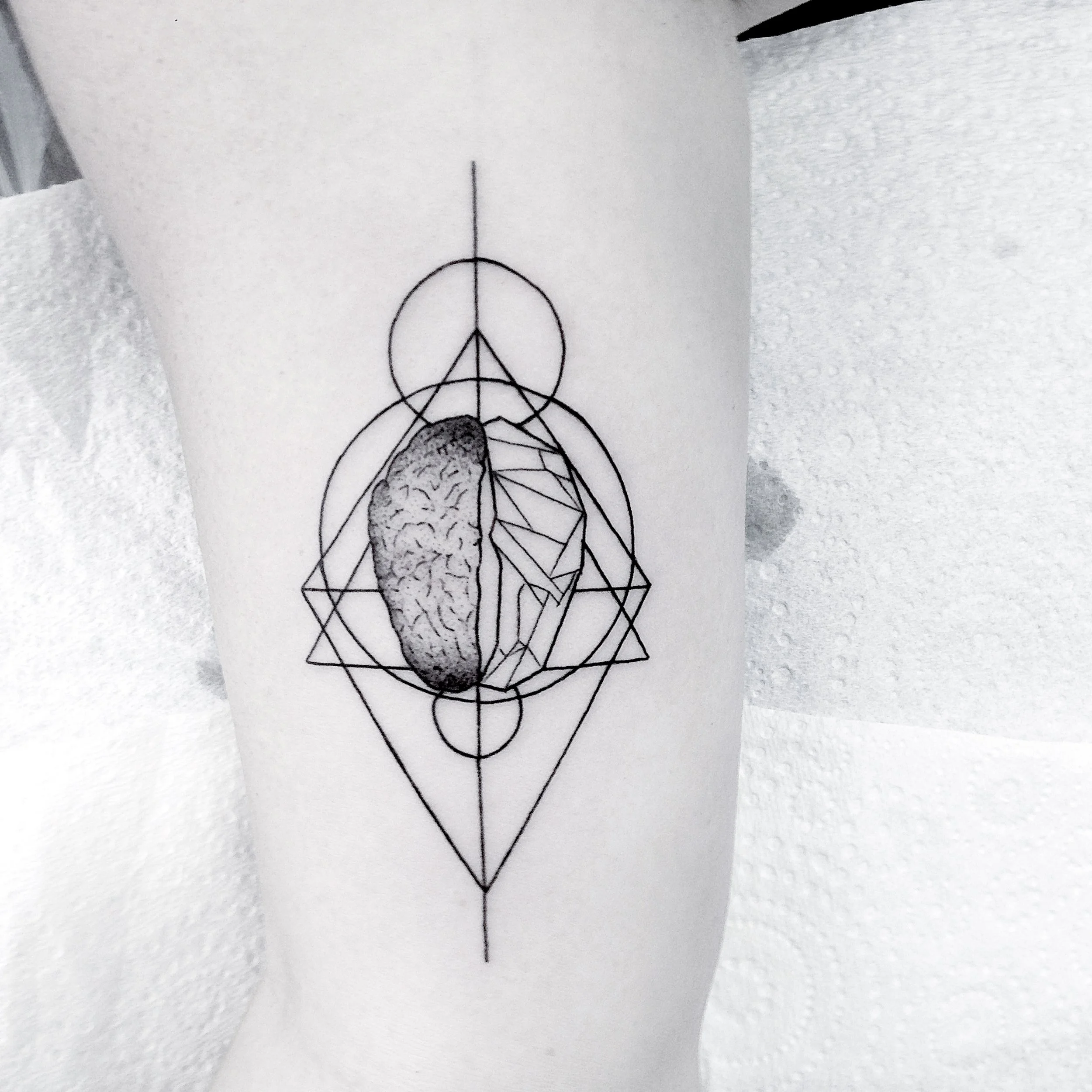 Brain tattoo brisbane best fine line artist fineline
