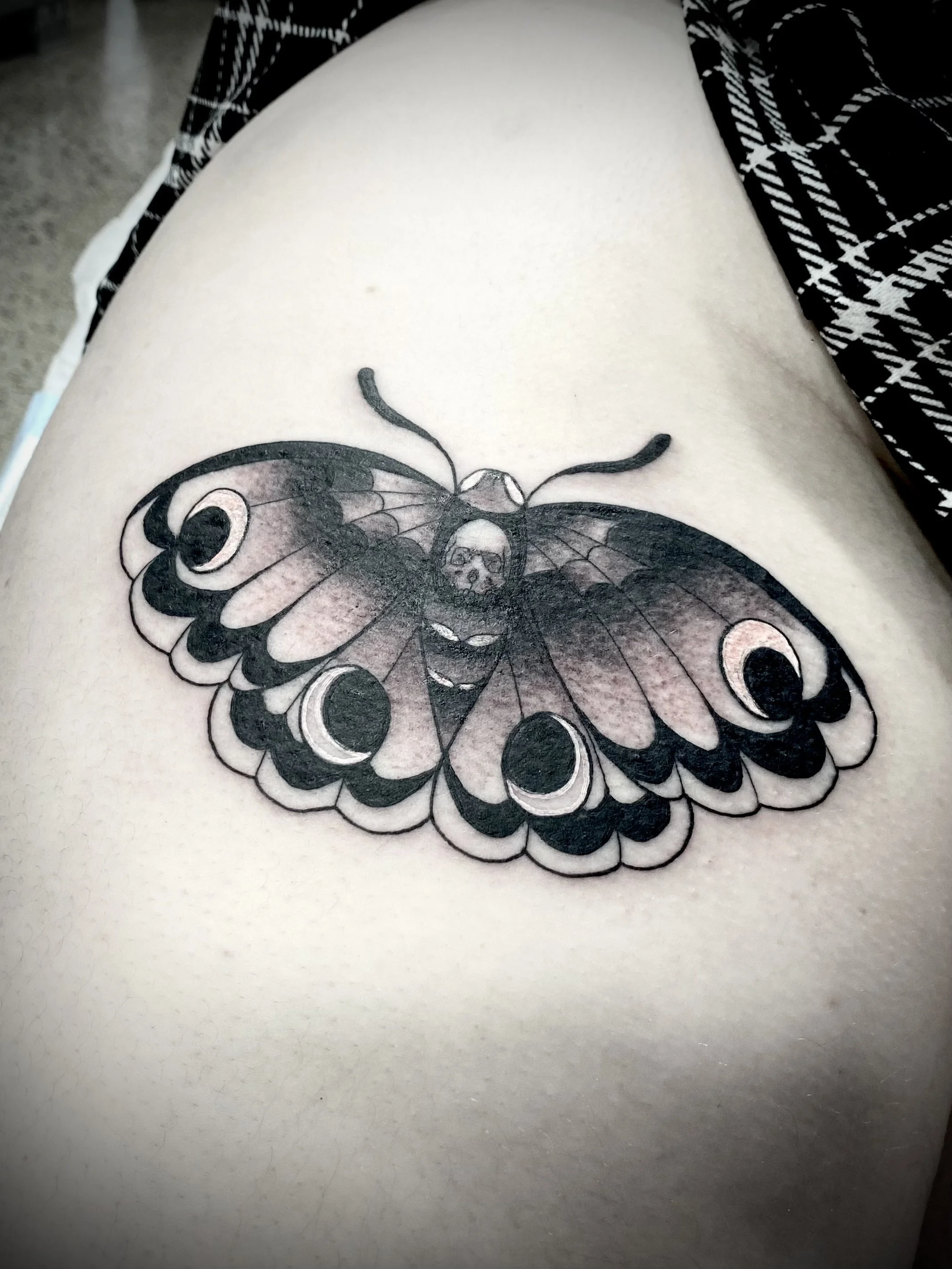 Brisbane tattoo vegan pop culture snail moth.jpeg