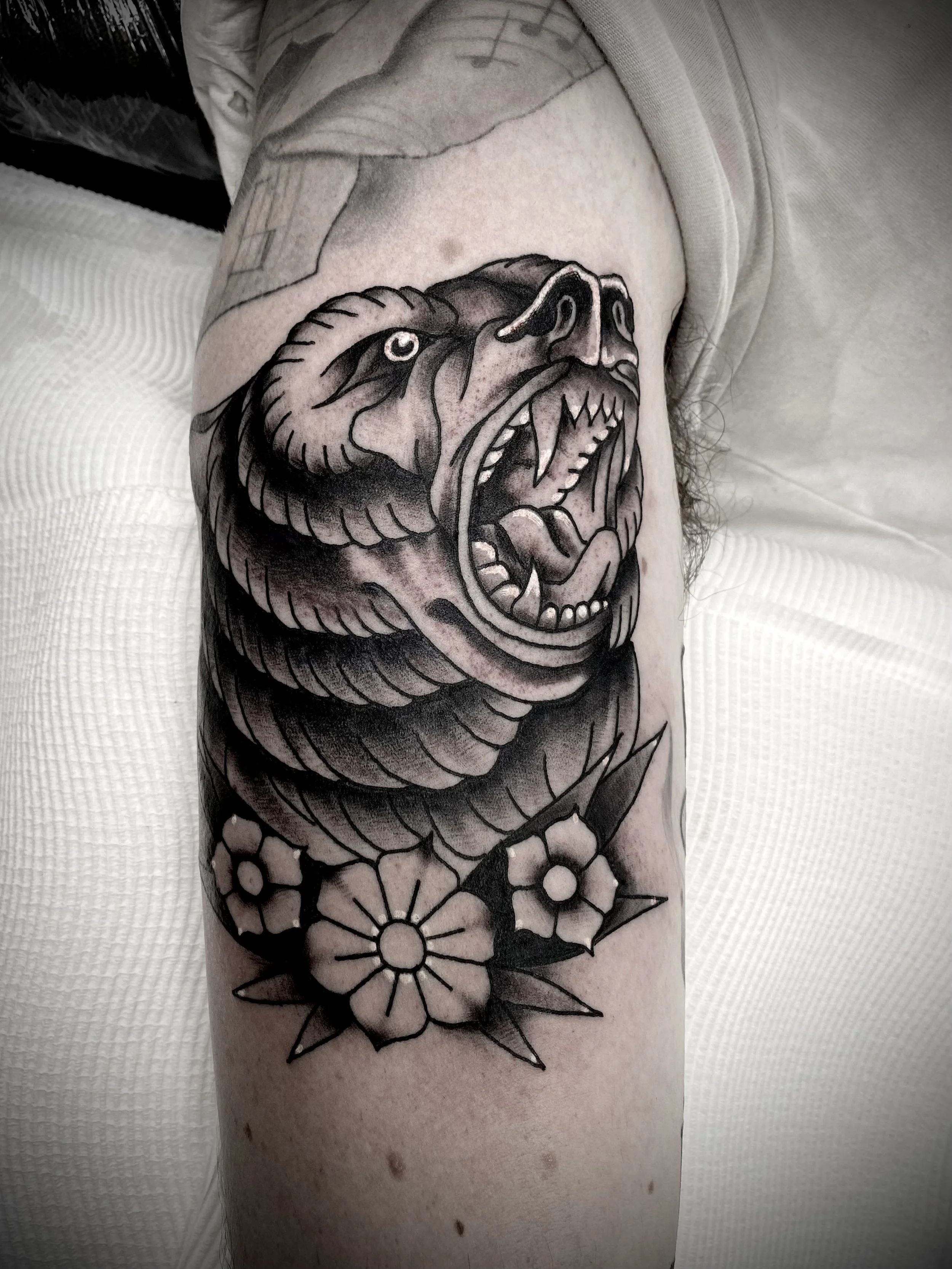 Brisbane tattoo vegan pop culture traditional bear.jpeg