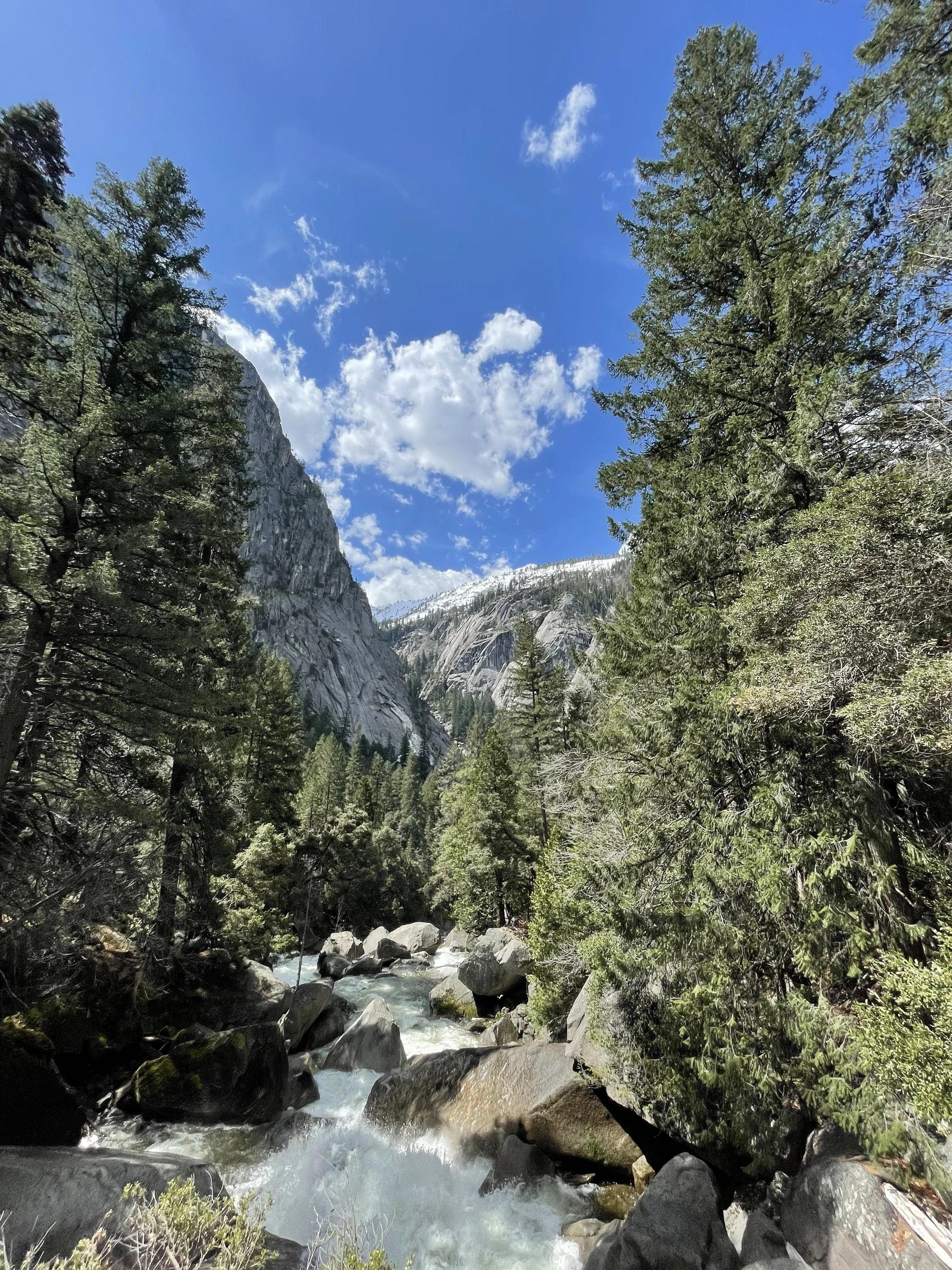A scenic mountain landscape with a river flowing through a forest of tall pine trees, with rocky cliffs and snow-capped peaks under a bright blue sky with scattered clouds.