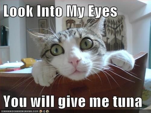 CHAPTER 15 | HEURISTICS FOR FUN AND PROFIT