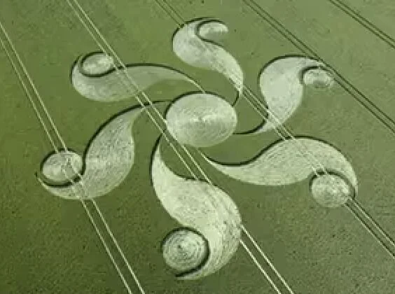 CHAPTER 11 | YING-YANG Planning and CEOs