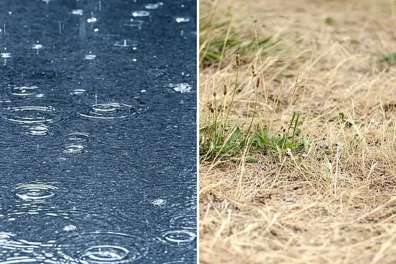 CHAPTER 9 | WHAT DOES STRATEGIC PLANNING BUILT FOR SPEED LOOK LIKE? 