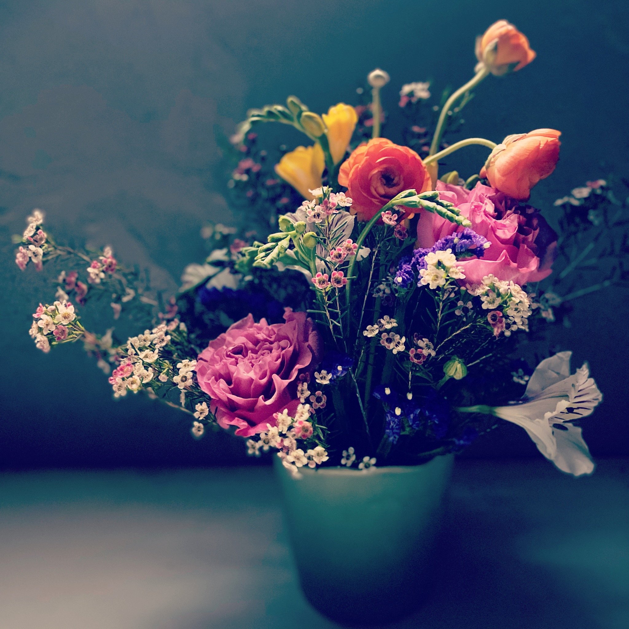 401DEB64-3978-4CCB-9164-417D841CF049.jpeg