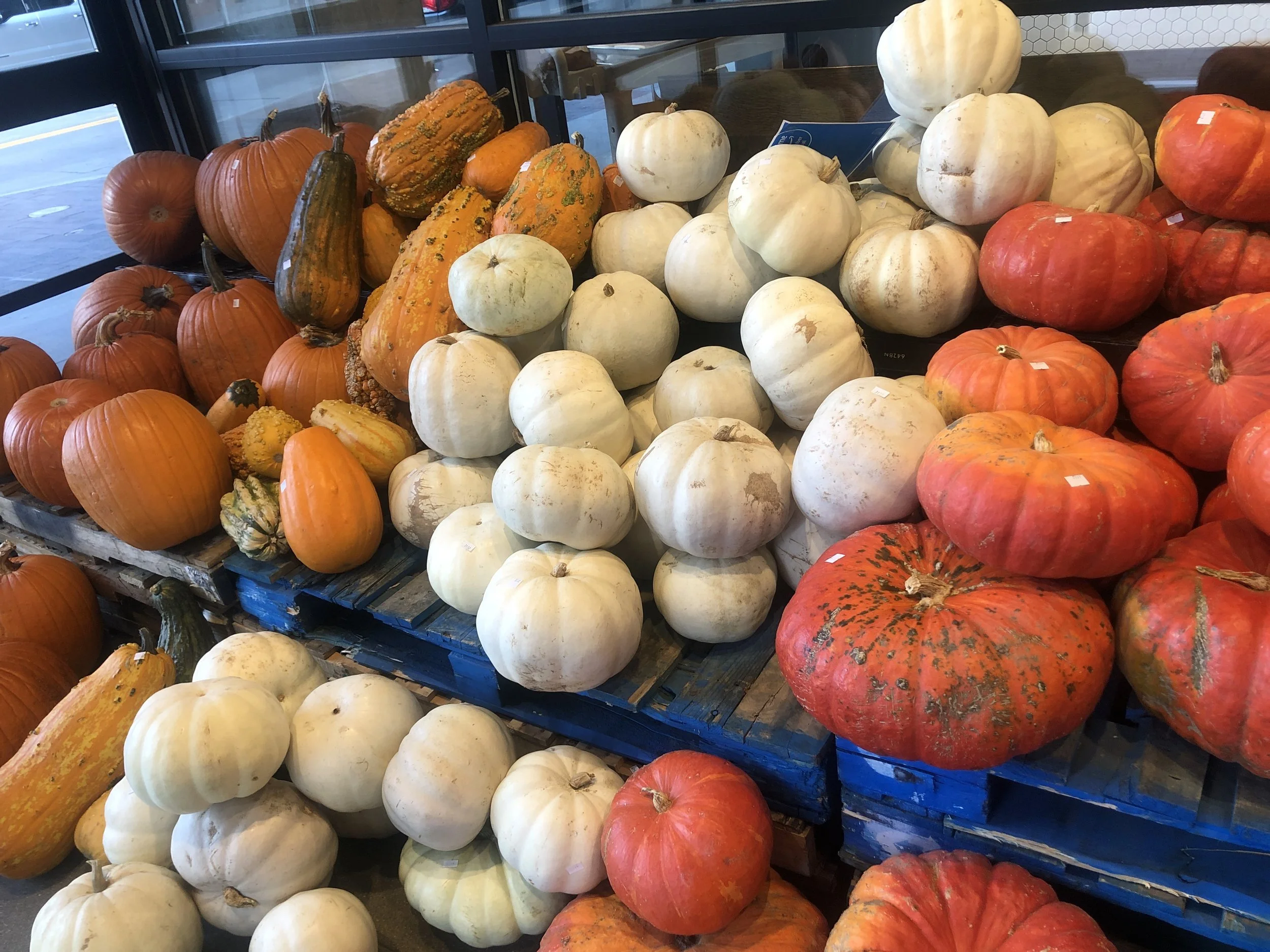 The Table_Pumpkin Lantern 2.JPG