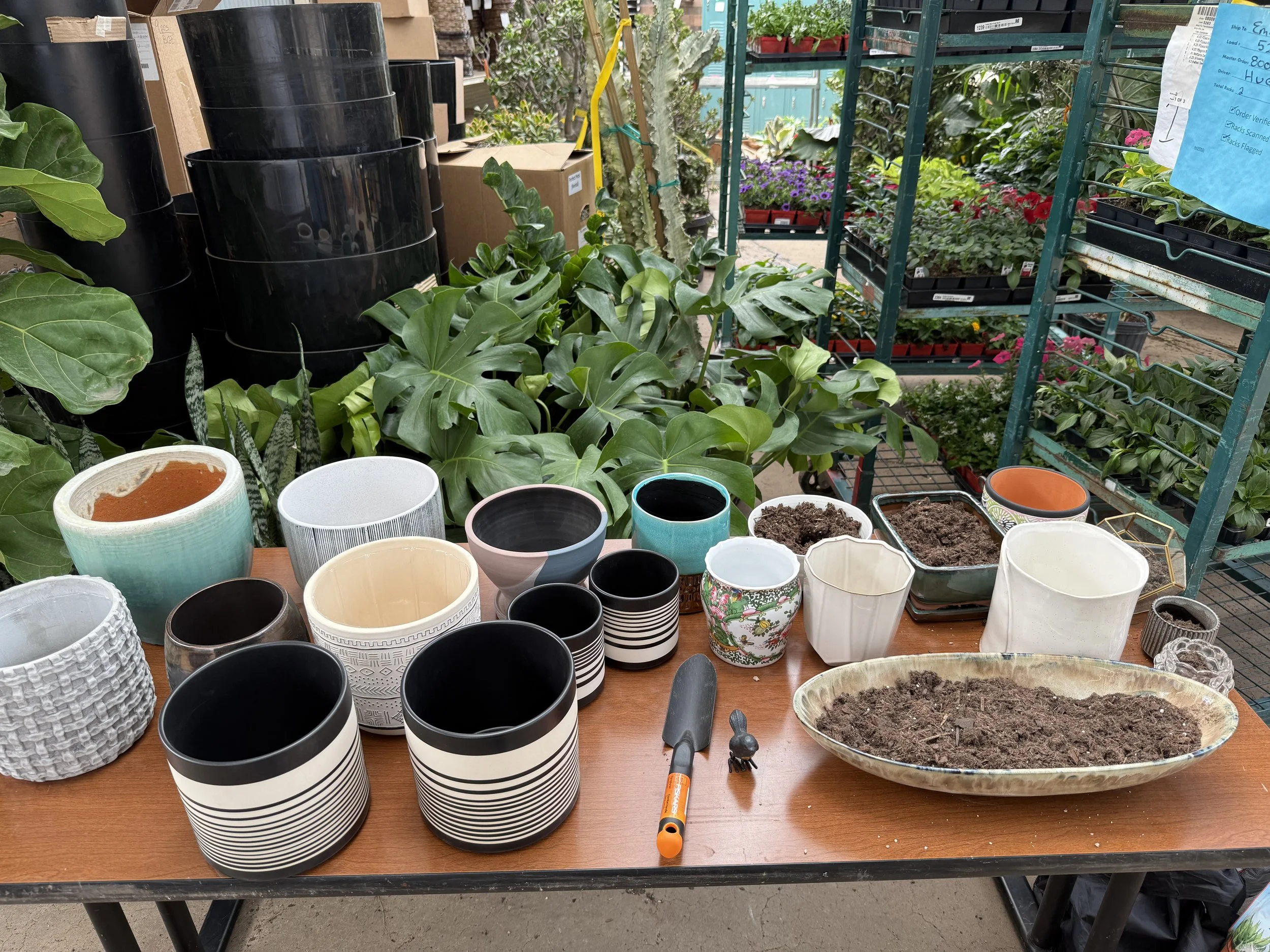 The Table_Pots & Plants.jpeg