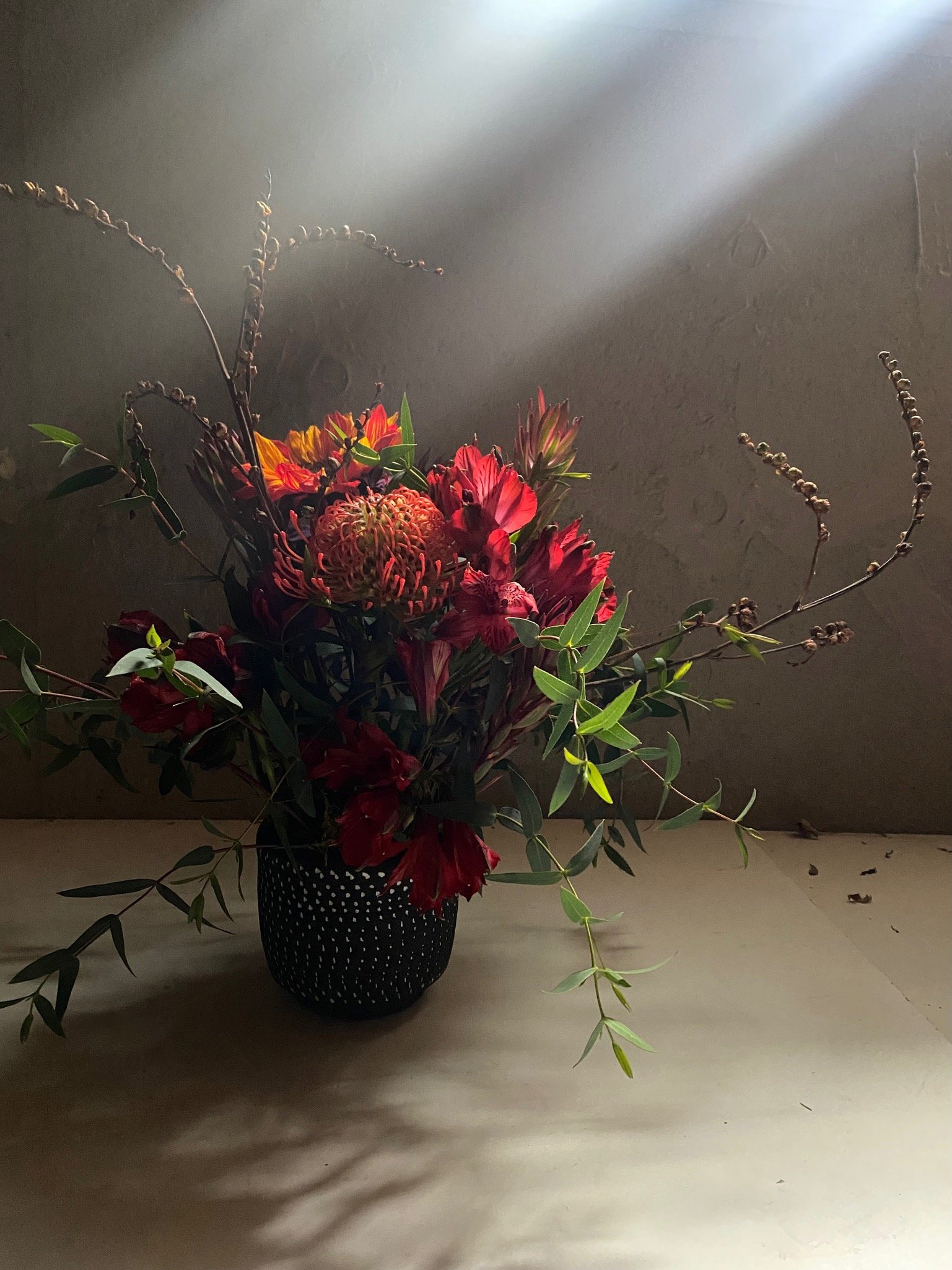 IMG_9724.jpeg