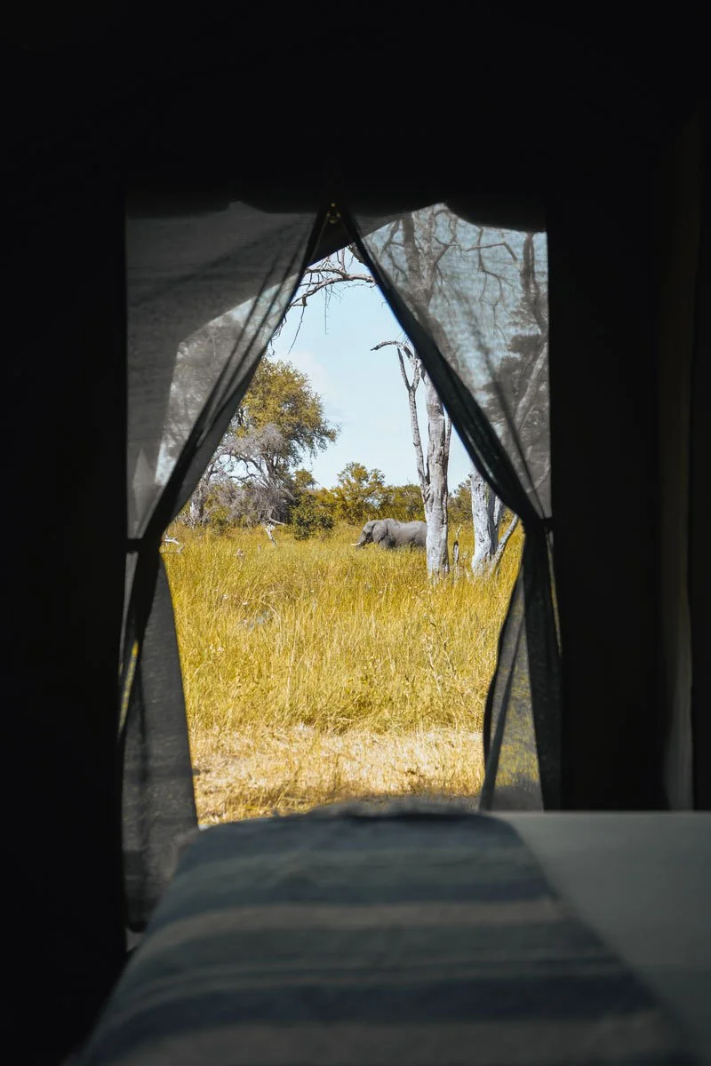 EOS---Room-3.jpg
