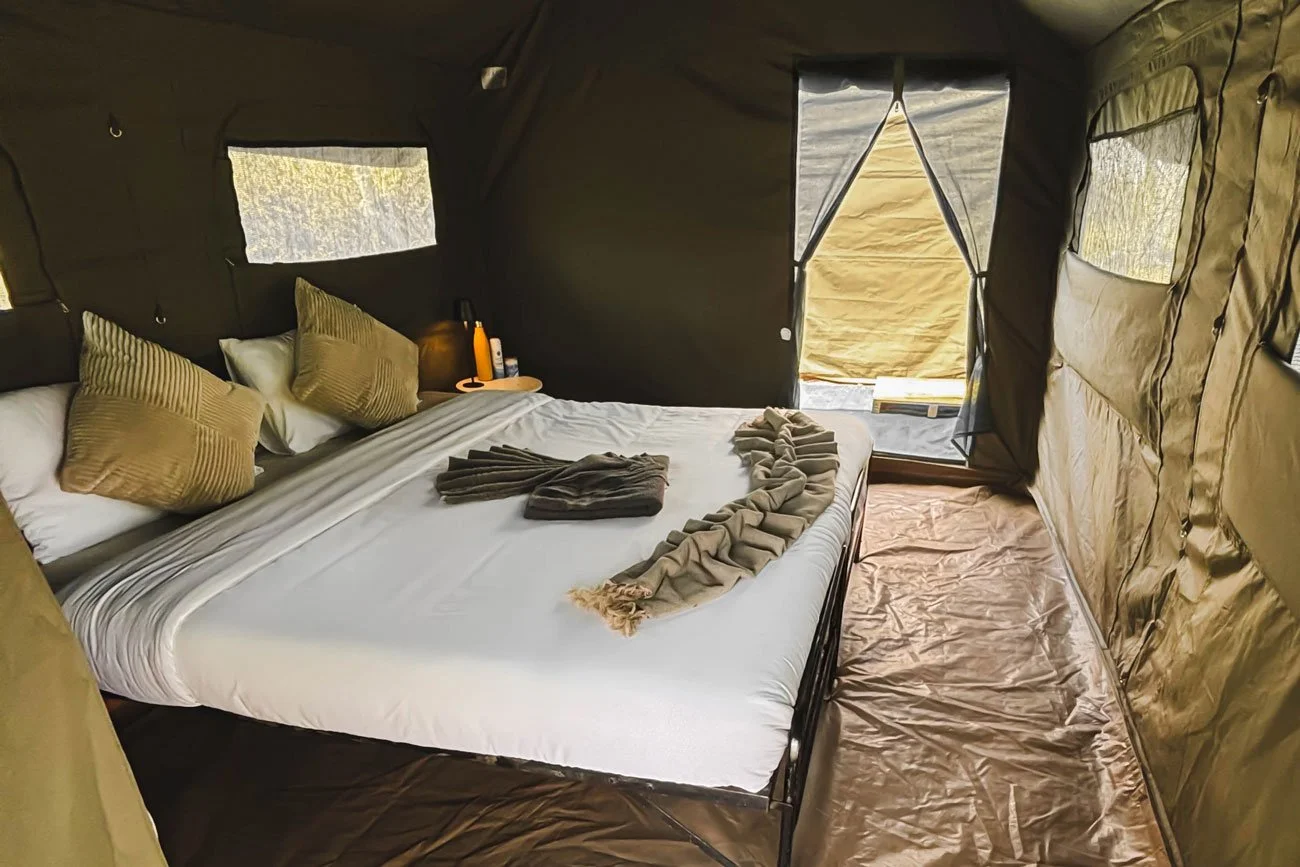 2-EOS---Room.jpg