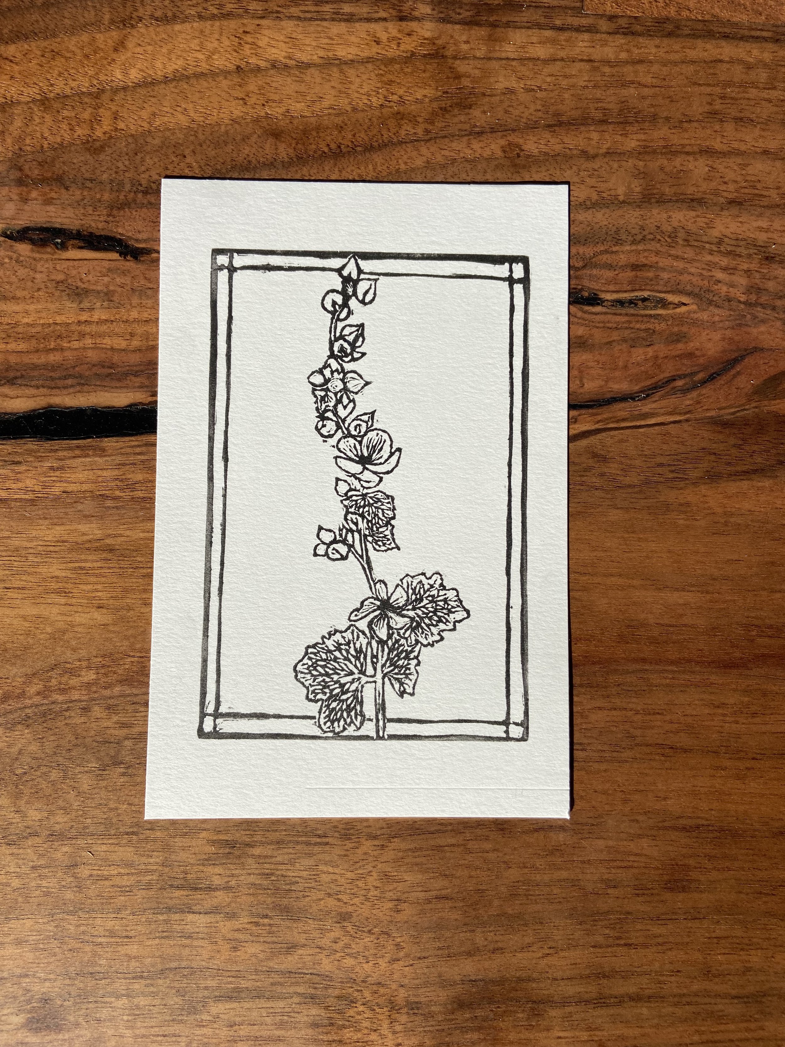 Mallow Print