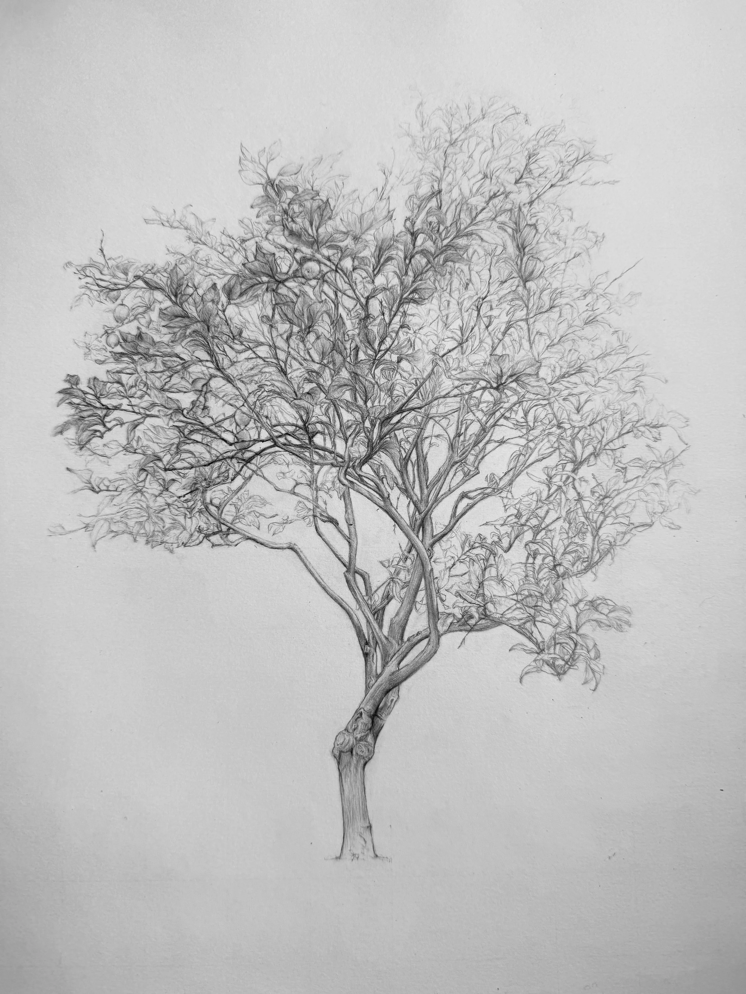 IMG_5910.jpeg