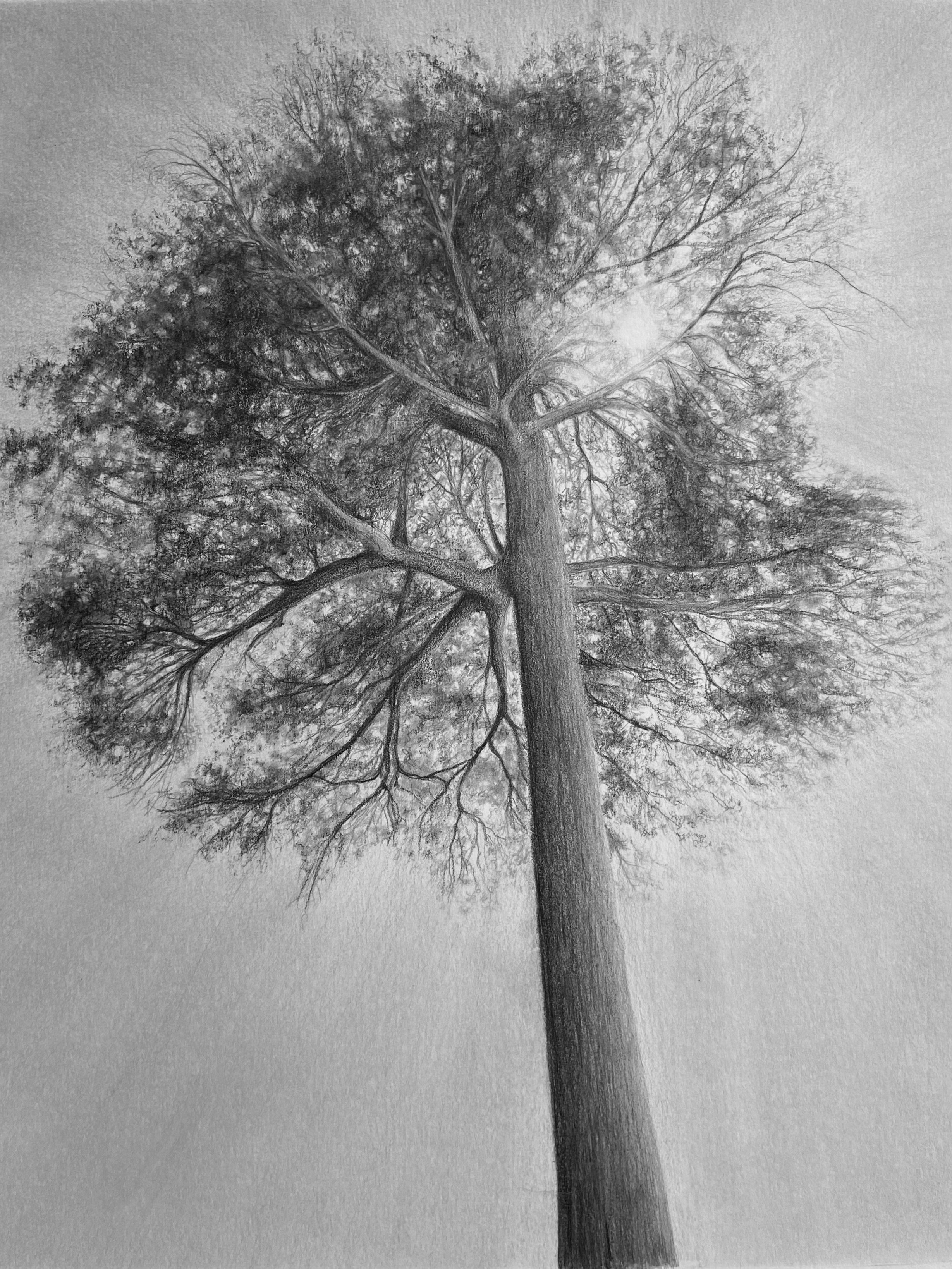 PLACES AND THINGS - IN GRAPHITE