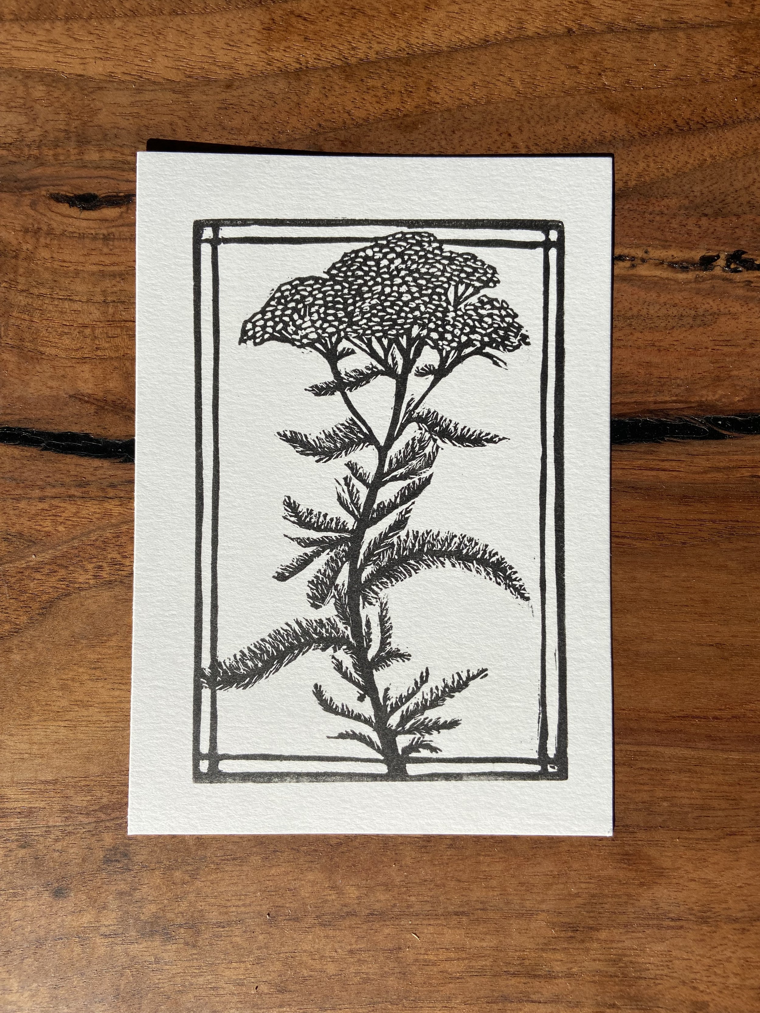 Yarrow Print