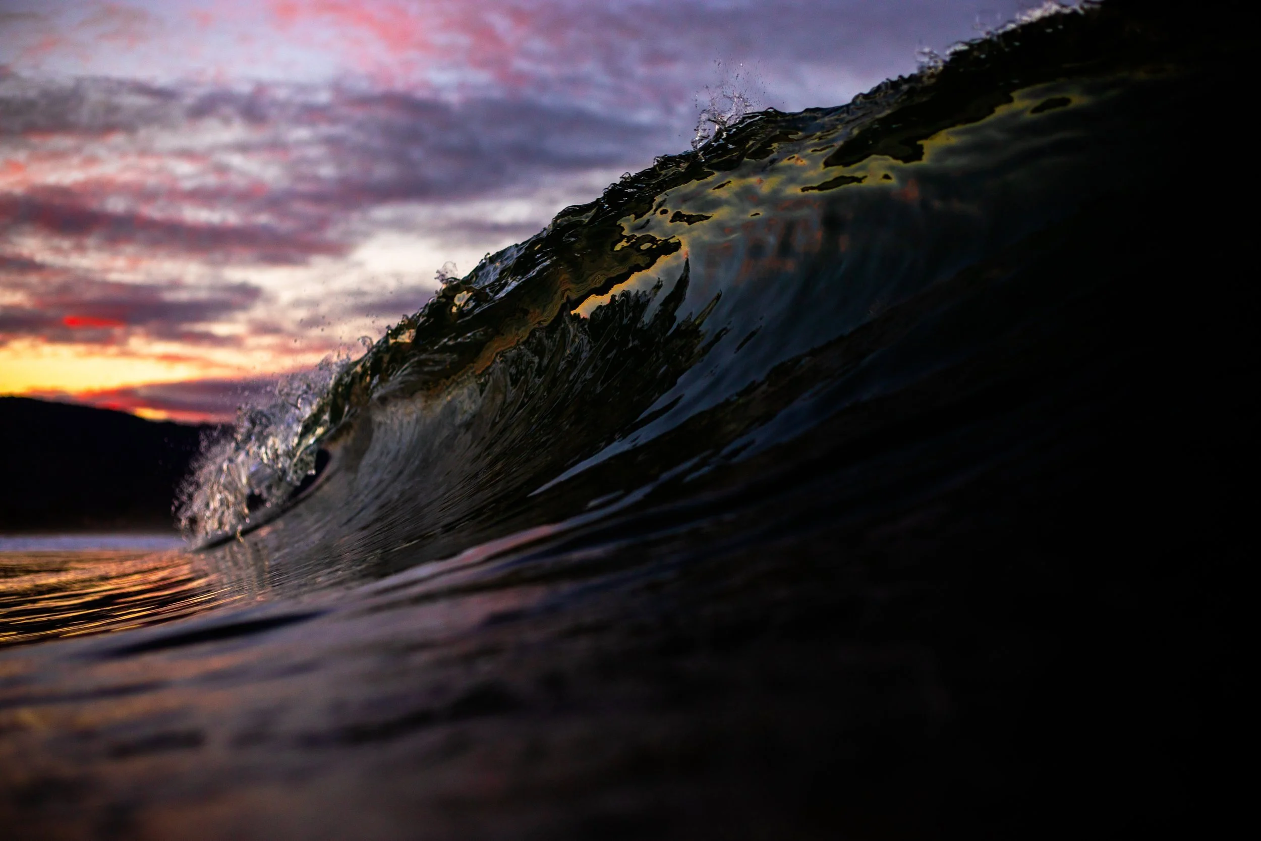 What Dreams are Made Of