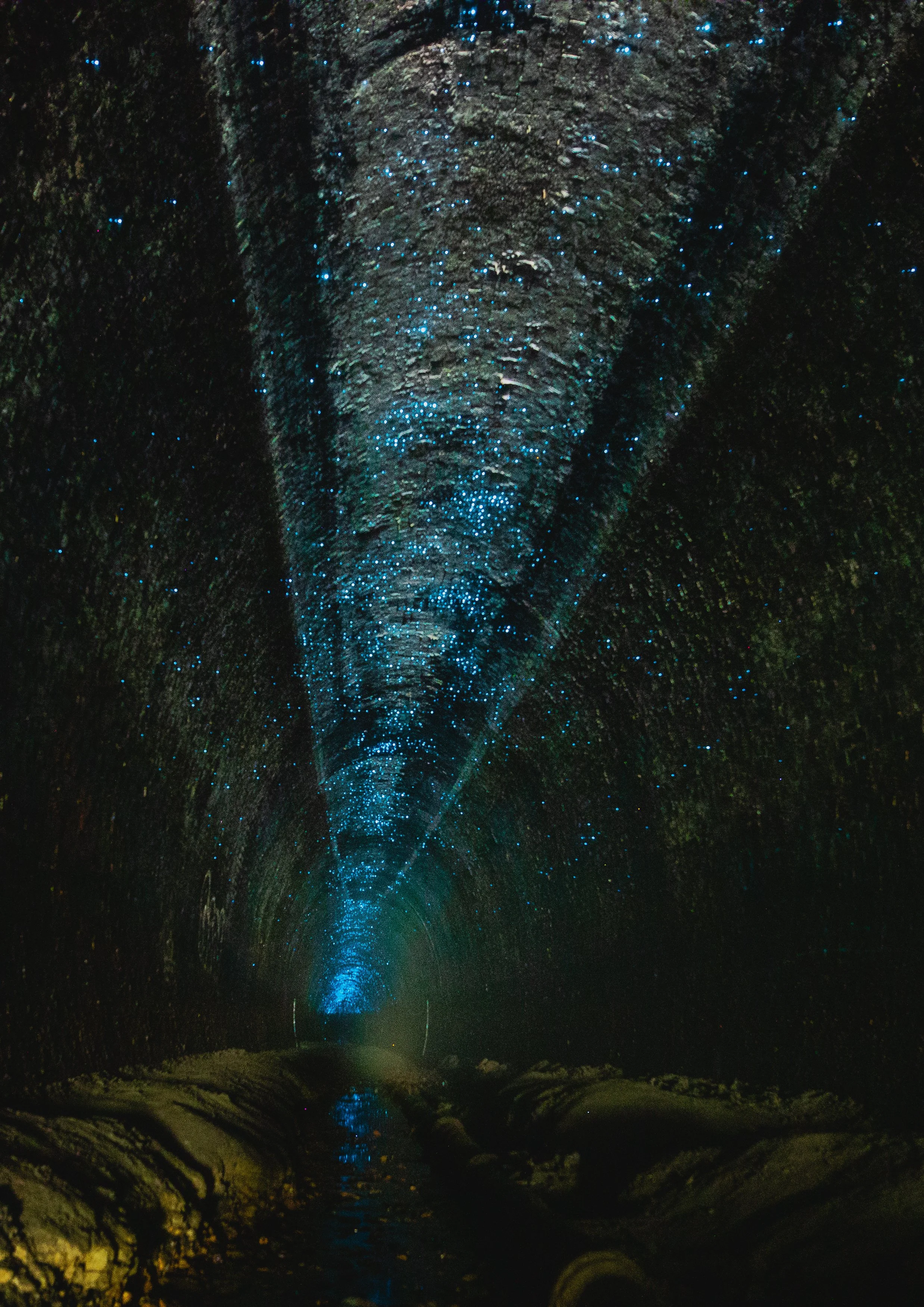 "Tunnel of enchantment"