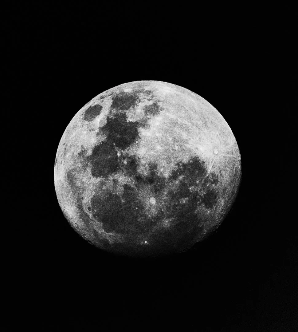 beauty in the darkness