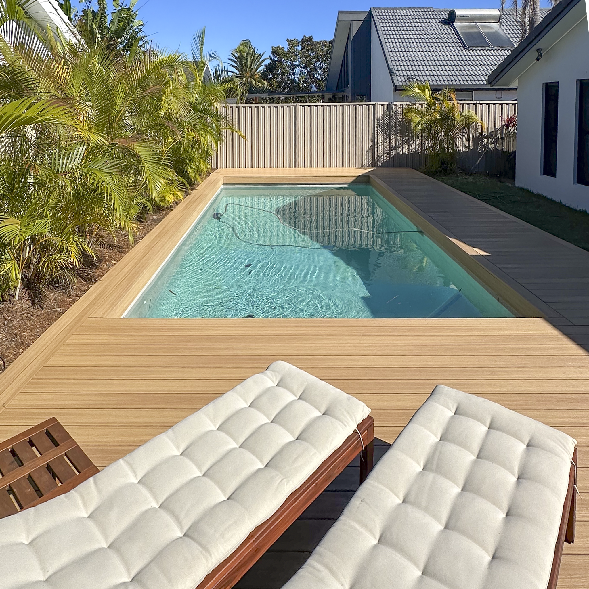 Backyard with a swimming pool, wooden patio, white cushioned lounge chairs, surrounded by tropical plants and trees, wooden fence, neighboring house with solar panels on roof, clear blue sky.