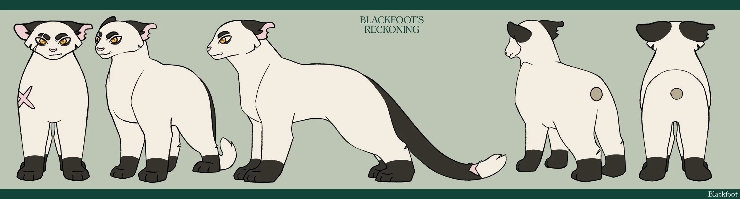 blackfoot tournaround.jpg