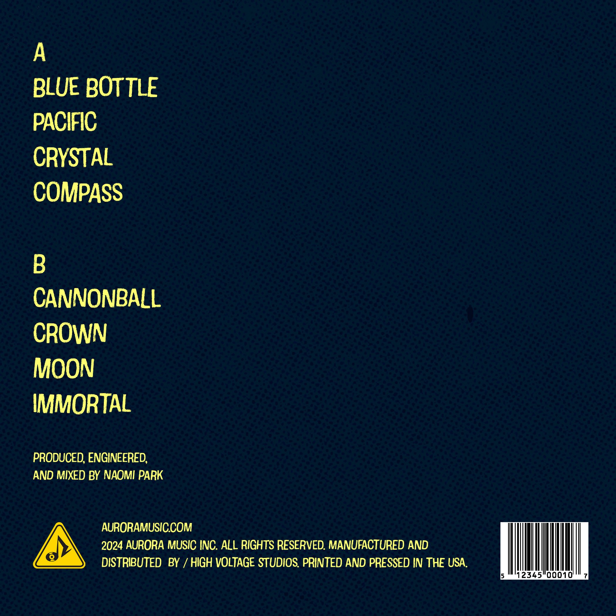 album back.jpg