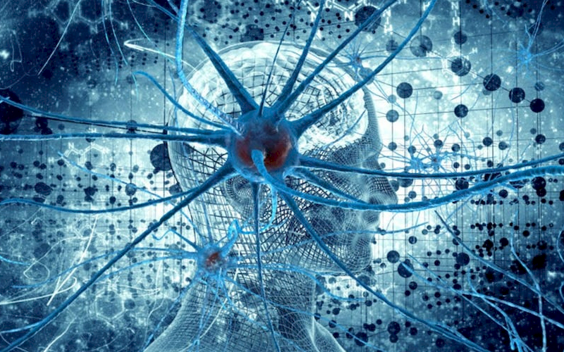 The hive mind seeks unity through shared intelligence.
